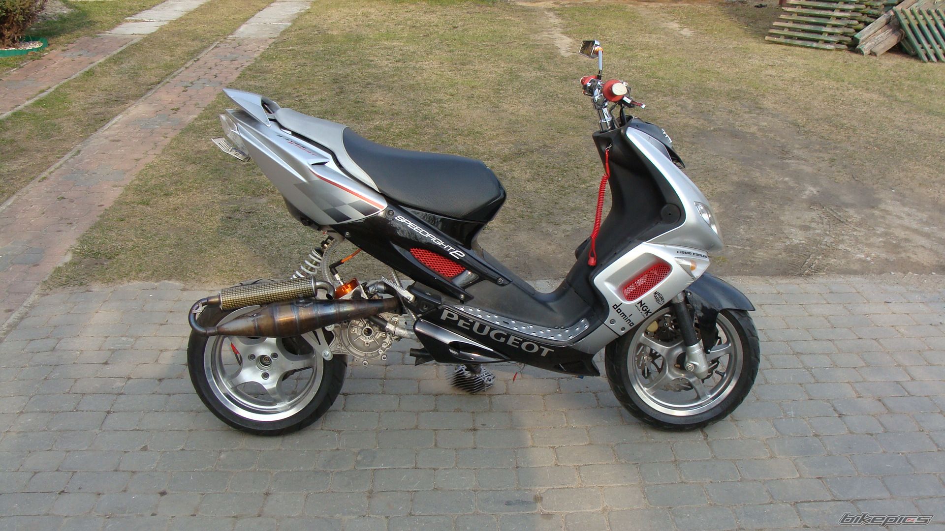 Photo 2383685