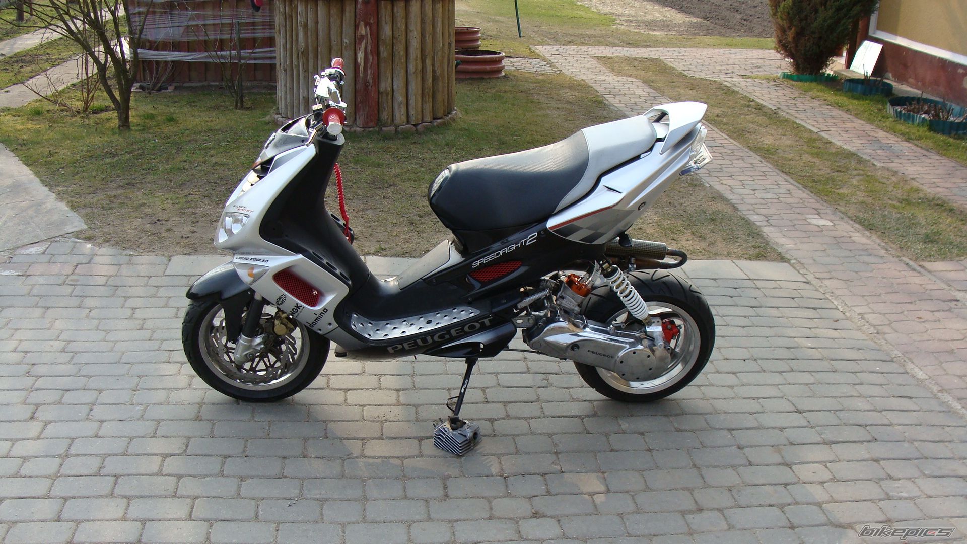Photo 2383699