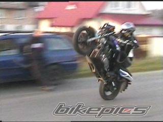 Photo 238375