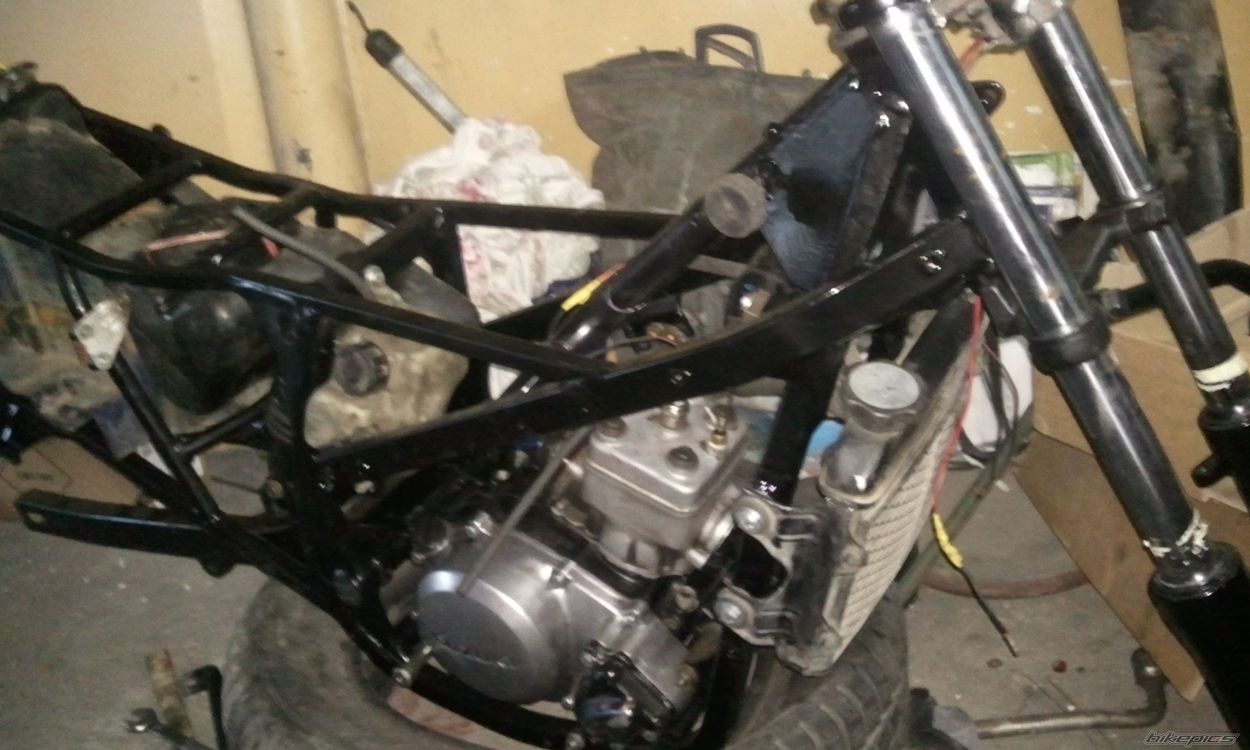 Photo 2383797