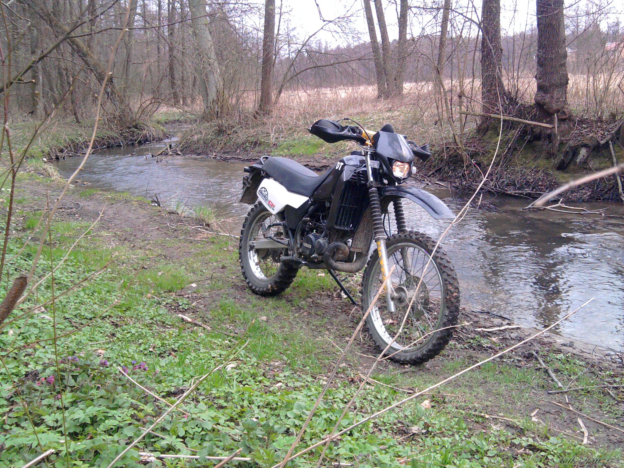 Photo 2383801
