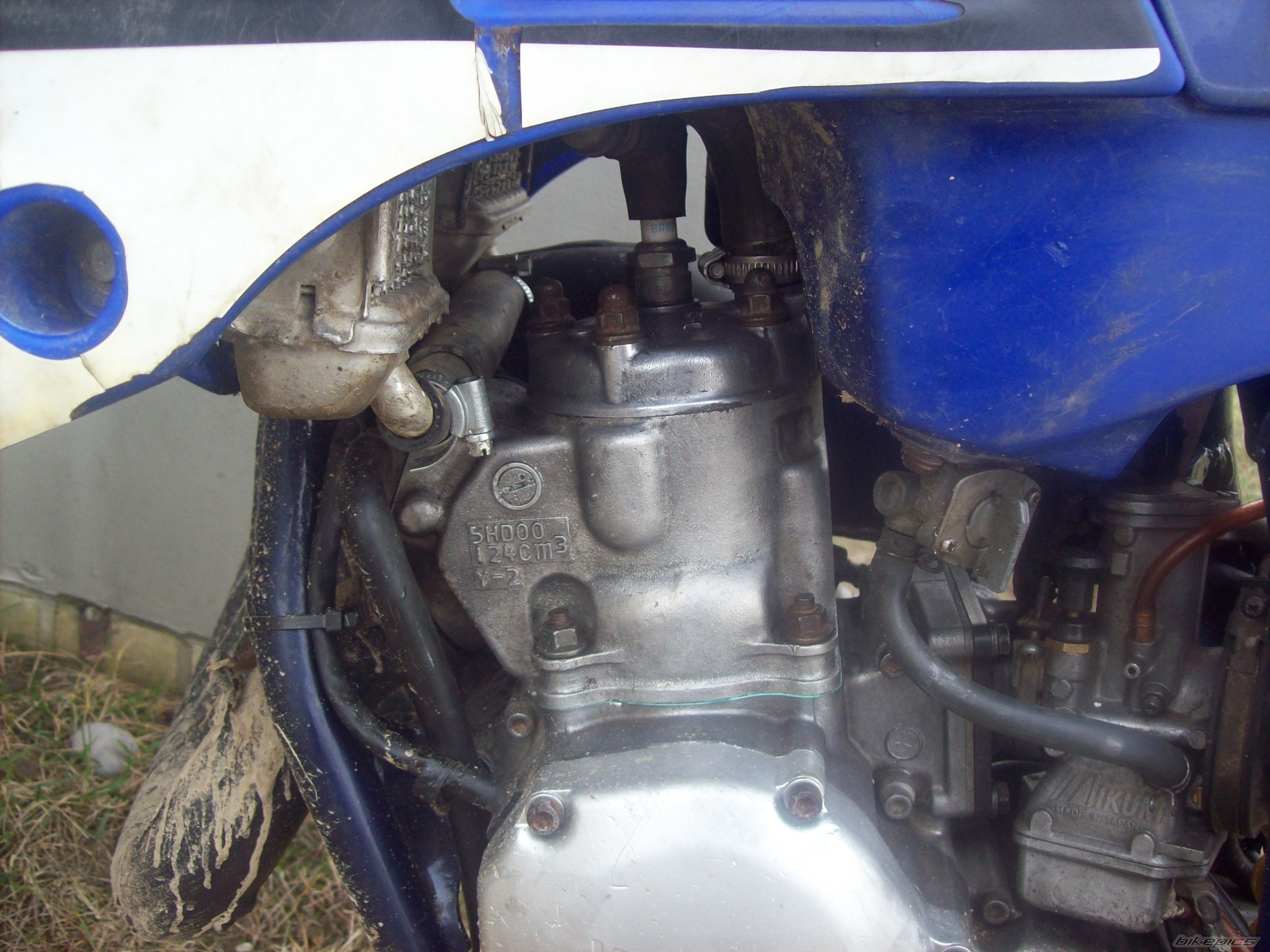 Photo 2383847