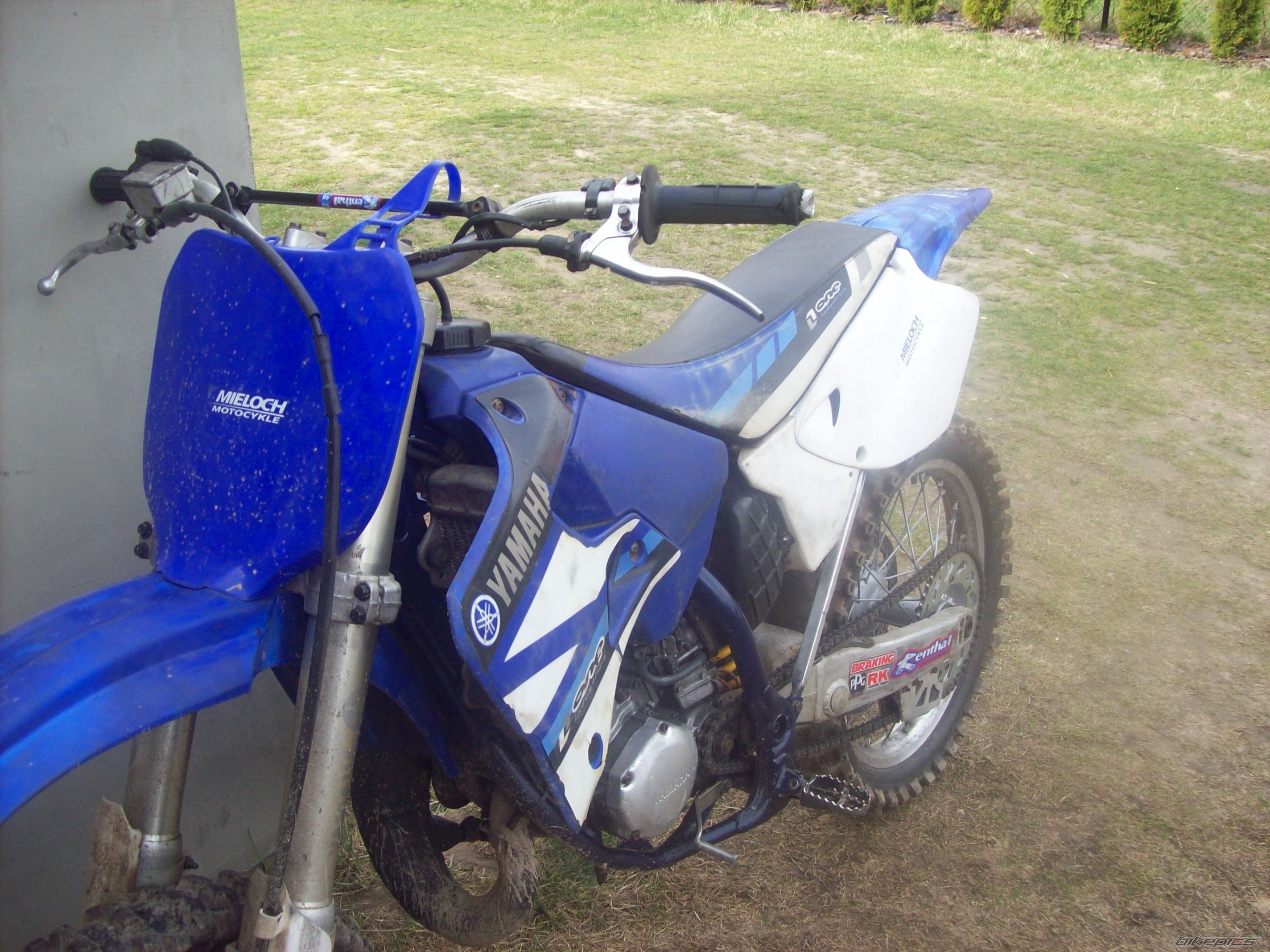 Photo 2383849