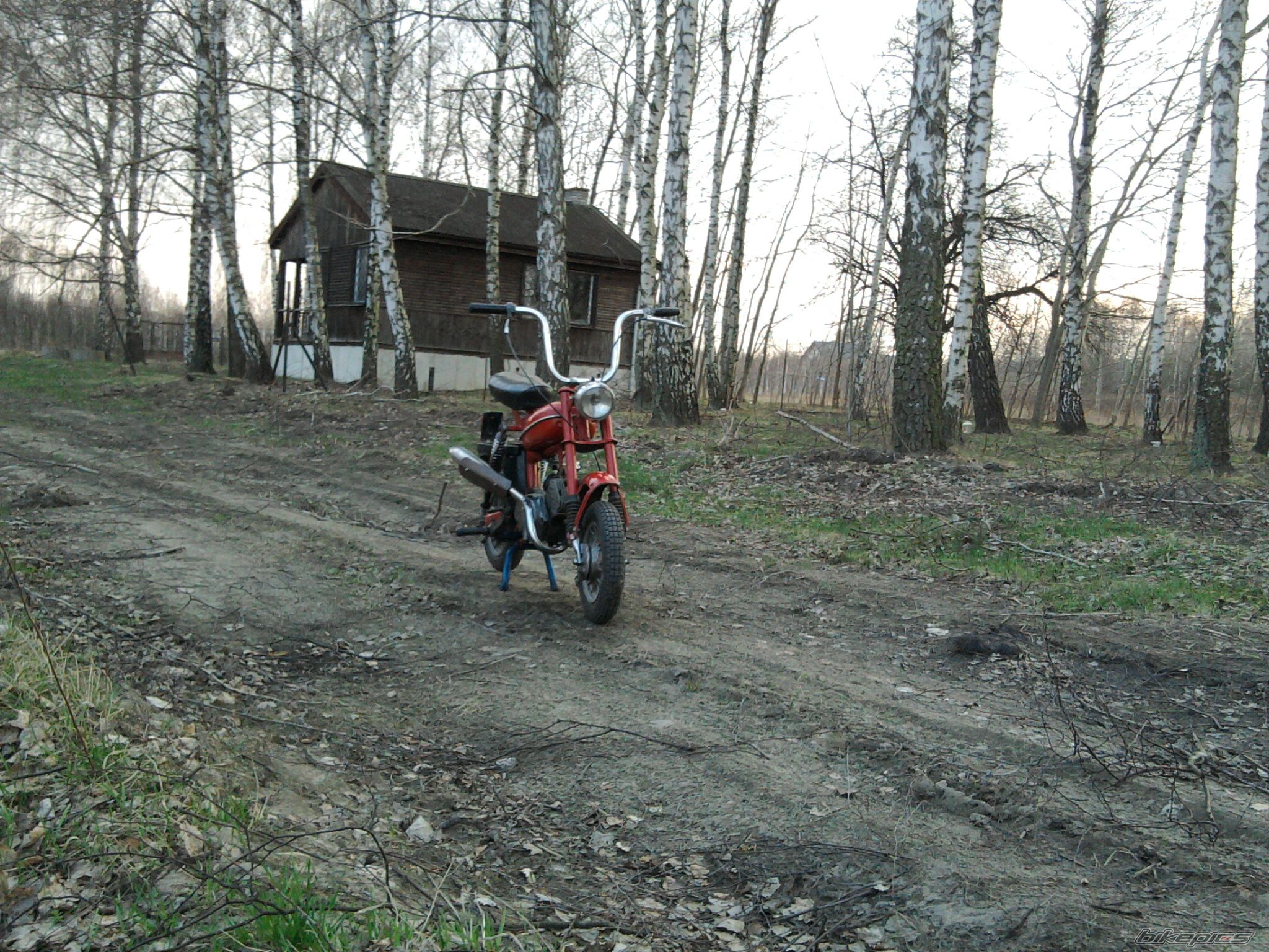 Photo 2383879
