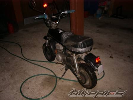 Photo 238390