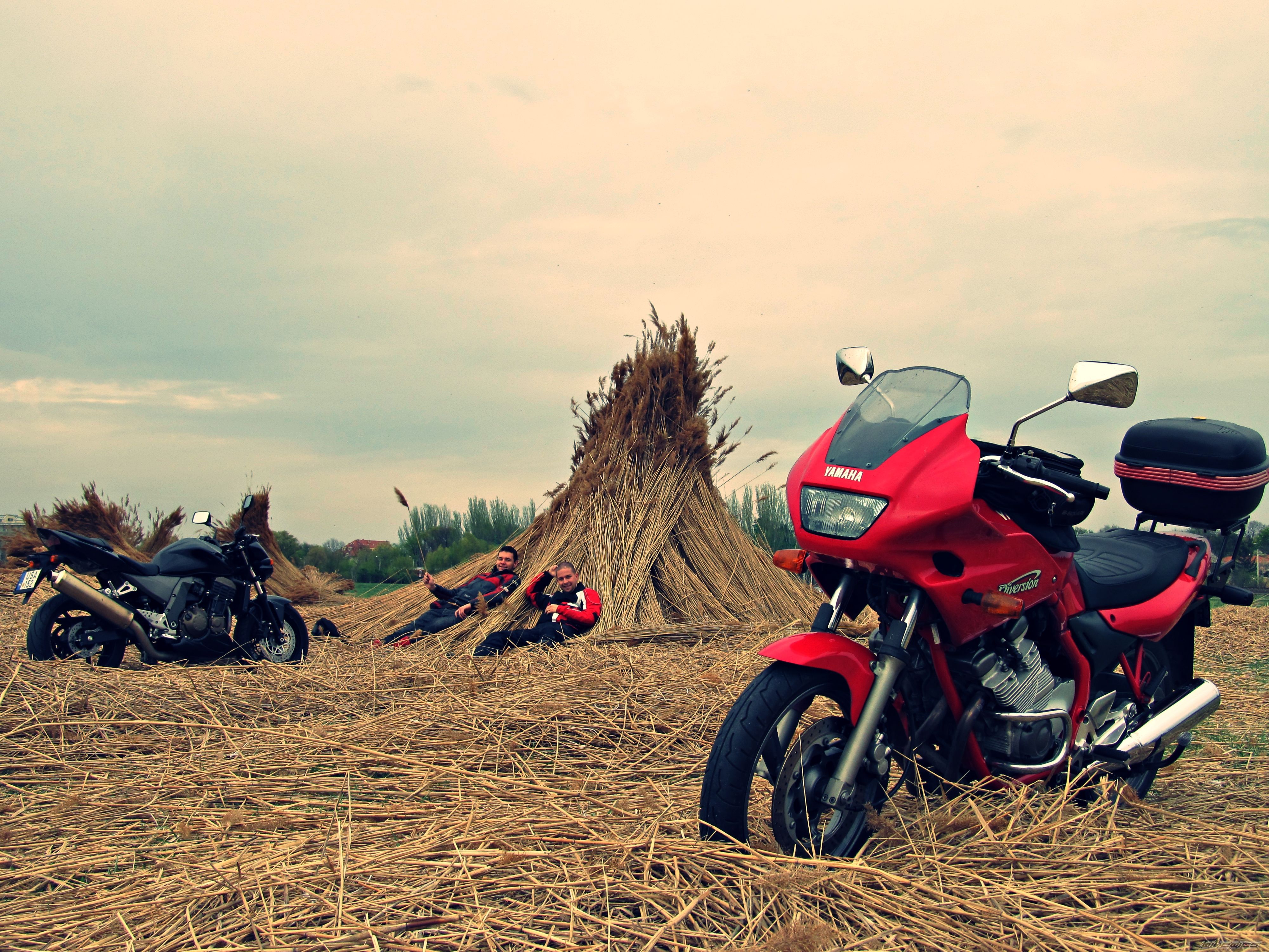 Bike Photo 2383928