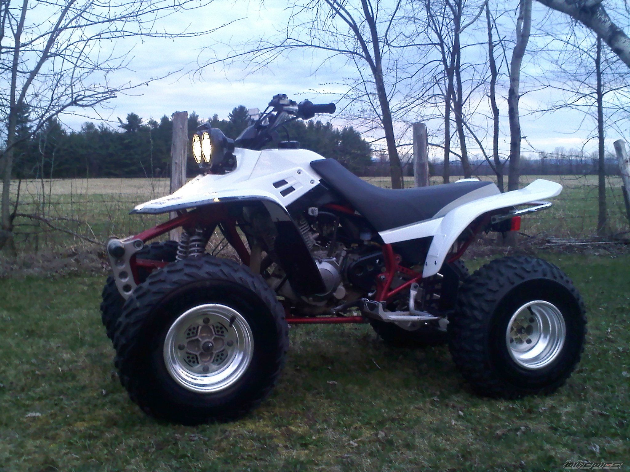 Photo 2383985