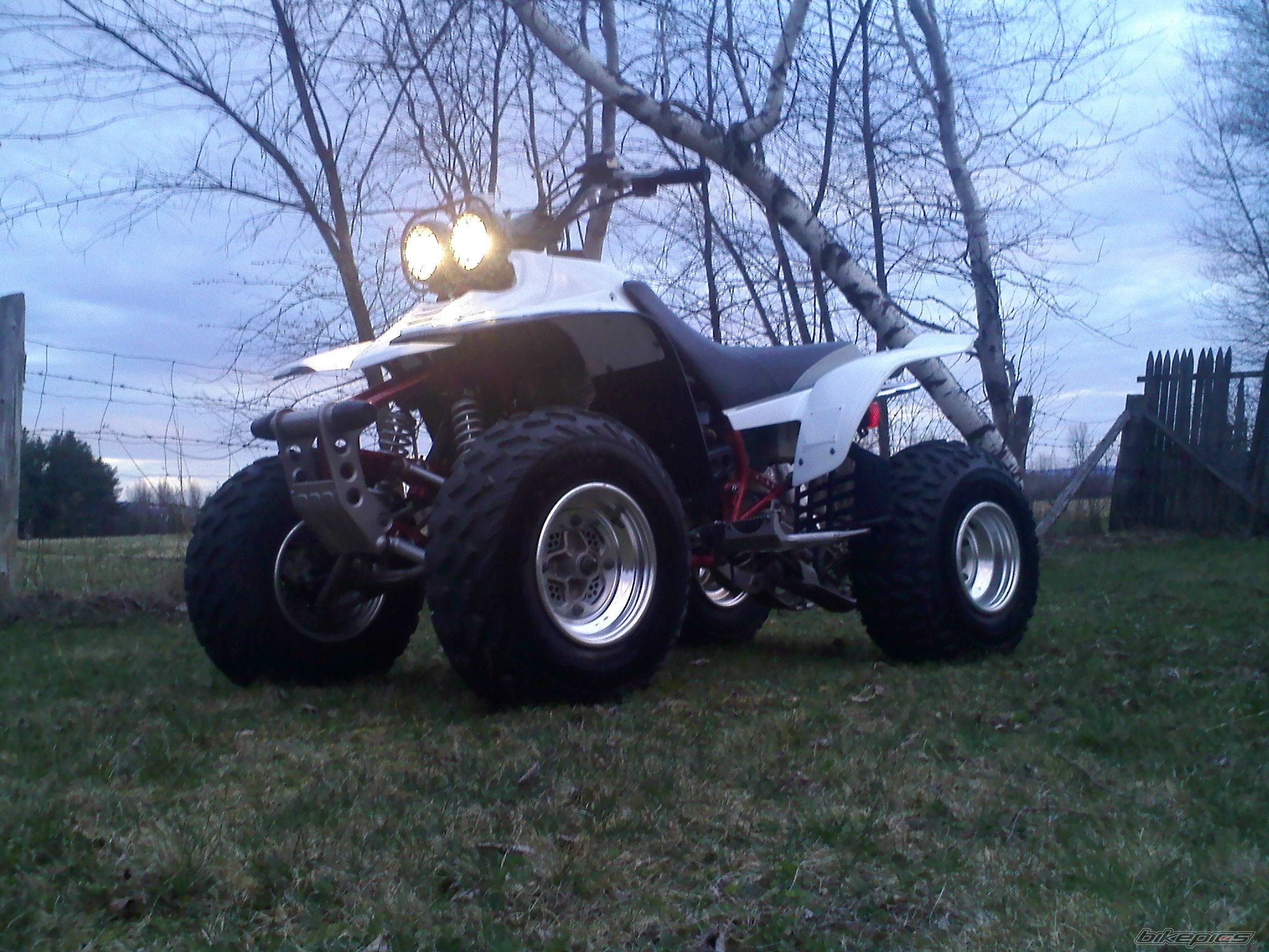 Photo 2383986