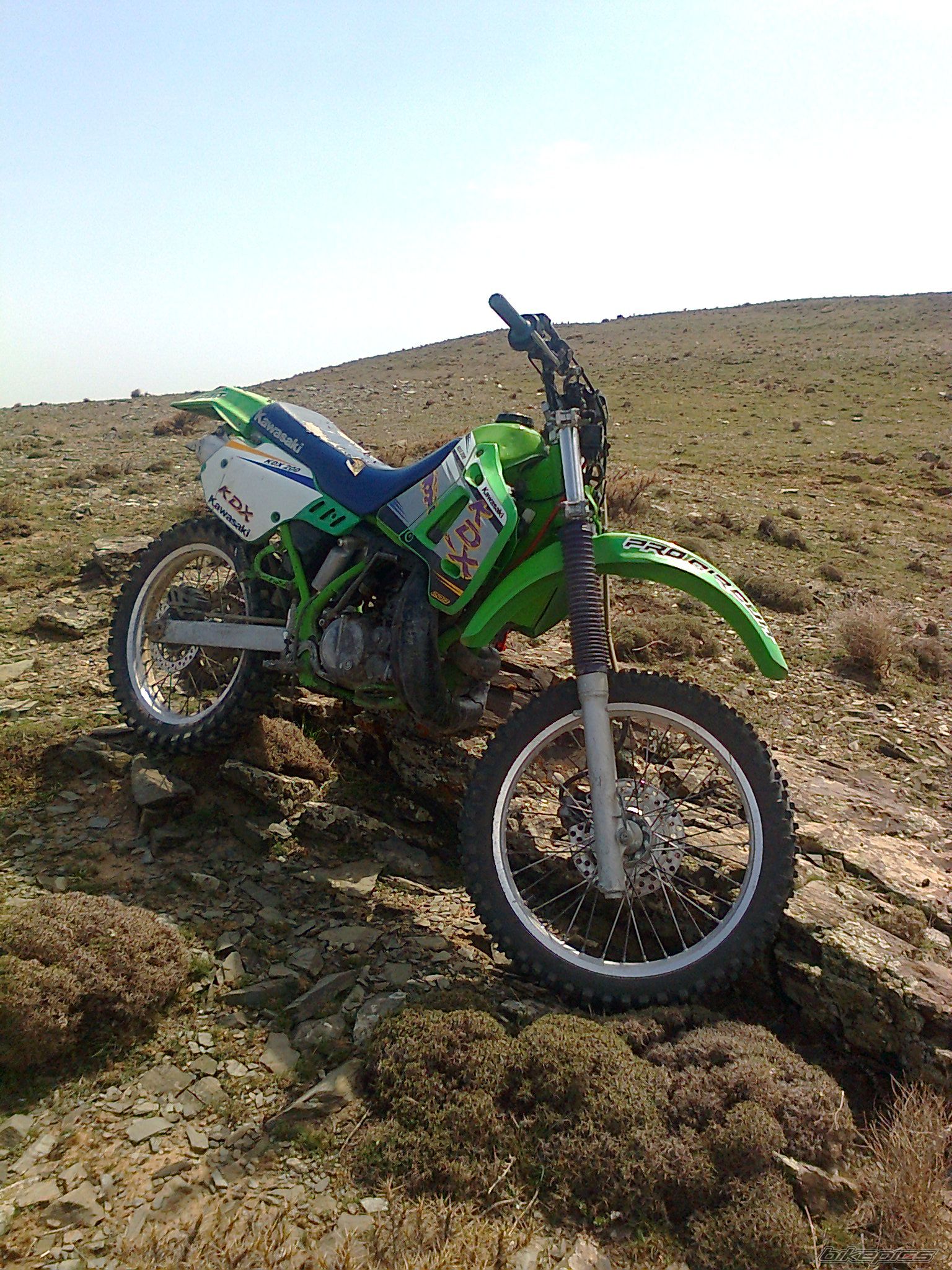 Photo 2384029