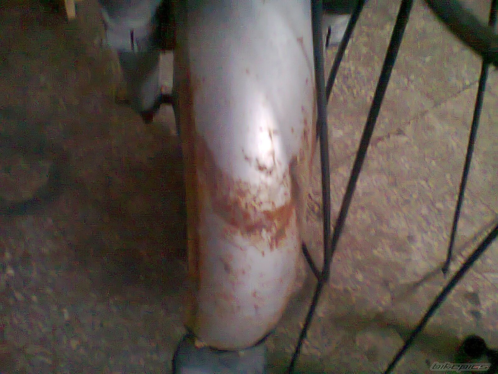 Photo 2384040