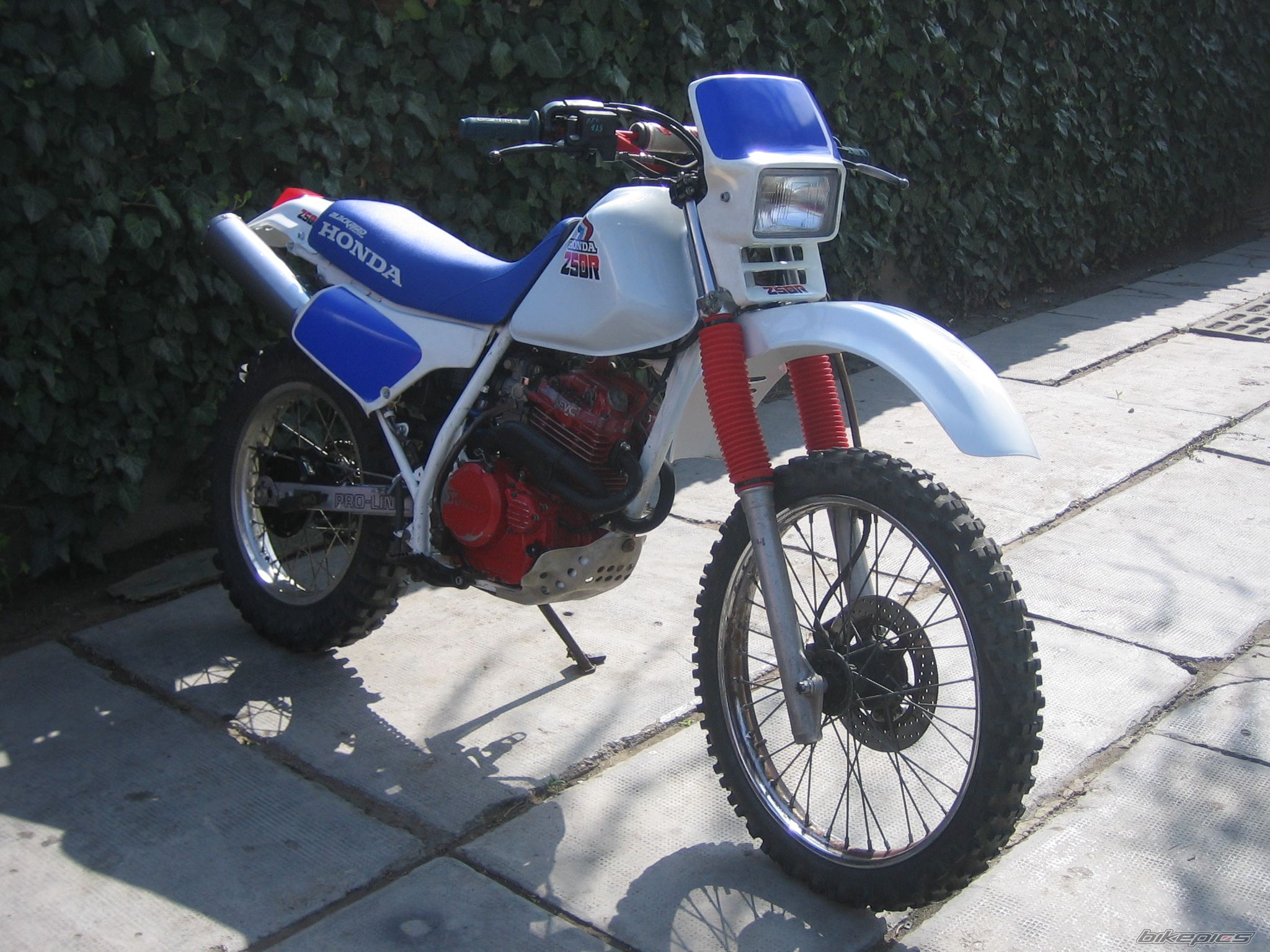 Photo 2384041