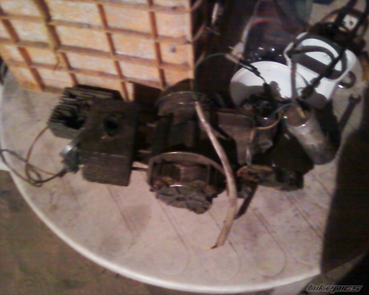 Photo 2384053