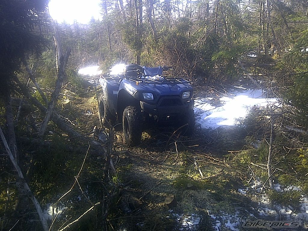 Photo 2384128
