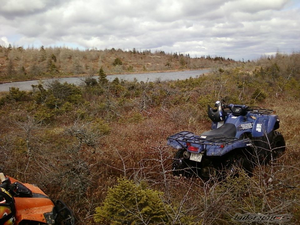 Photo 2384138
