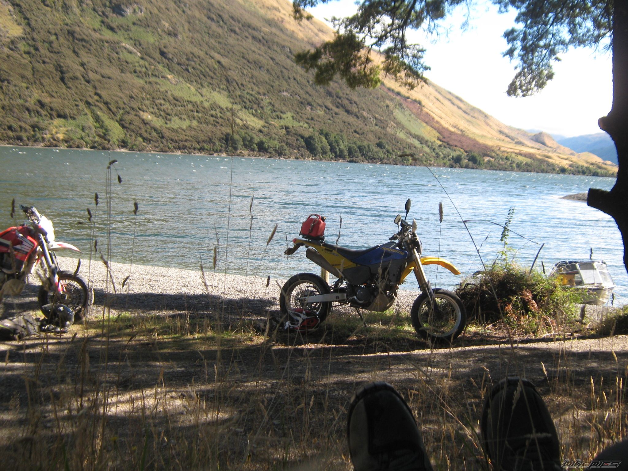 Photo 2384156