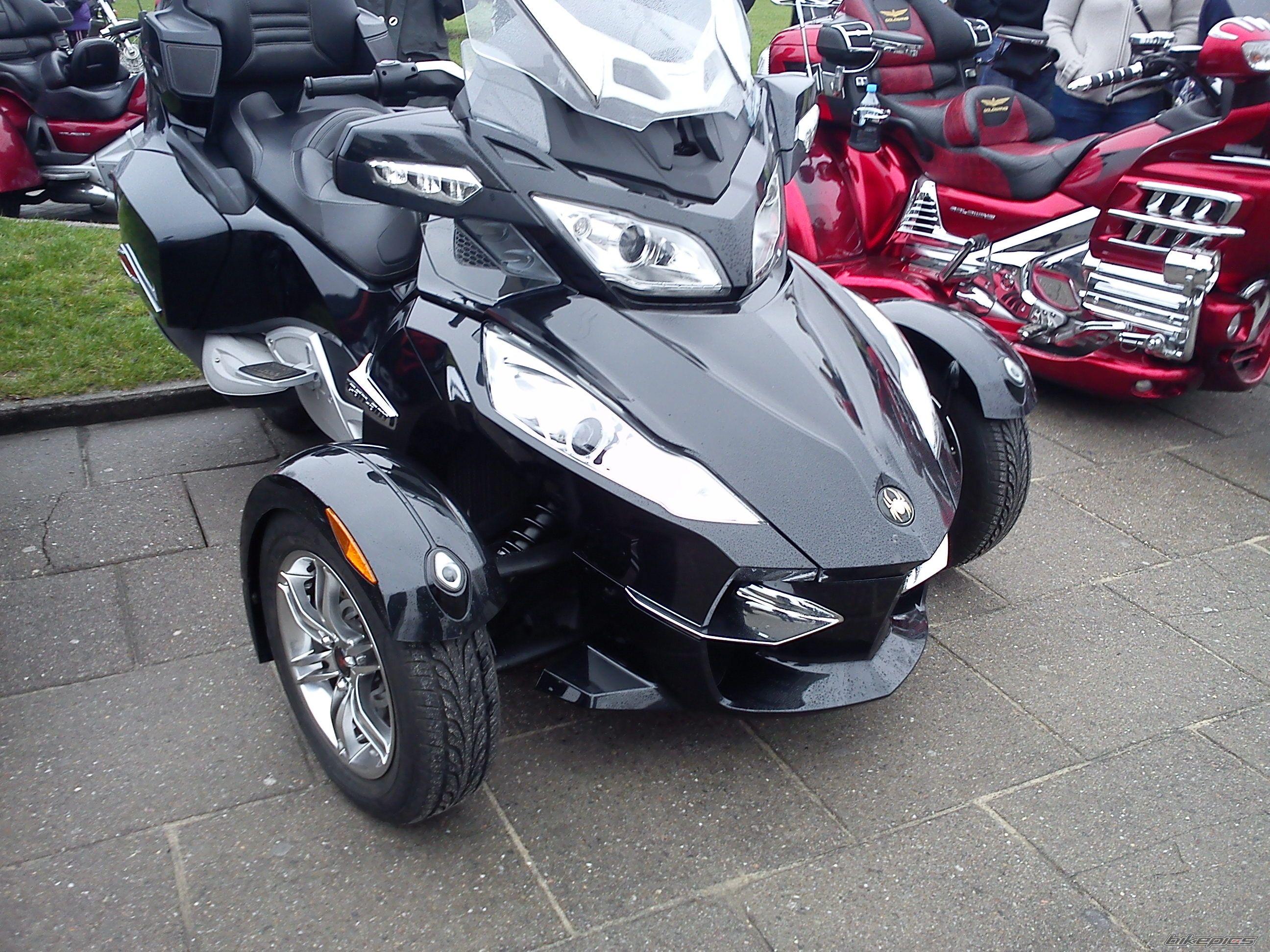 Photo 2384175
