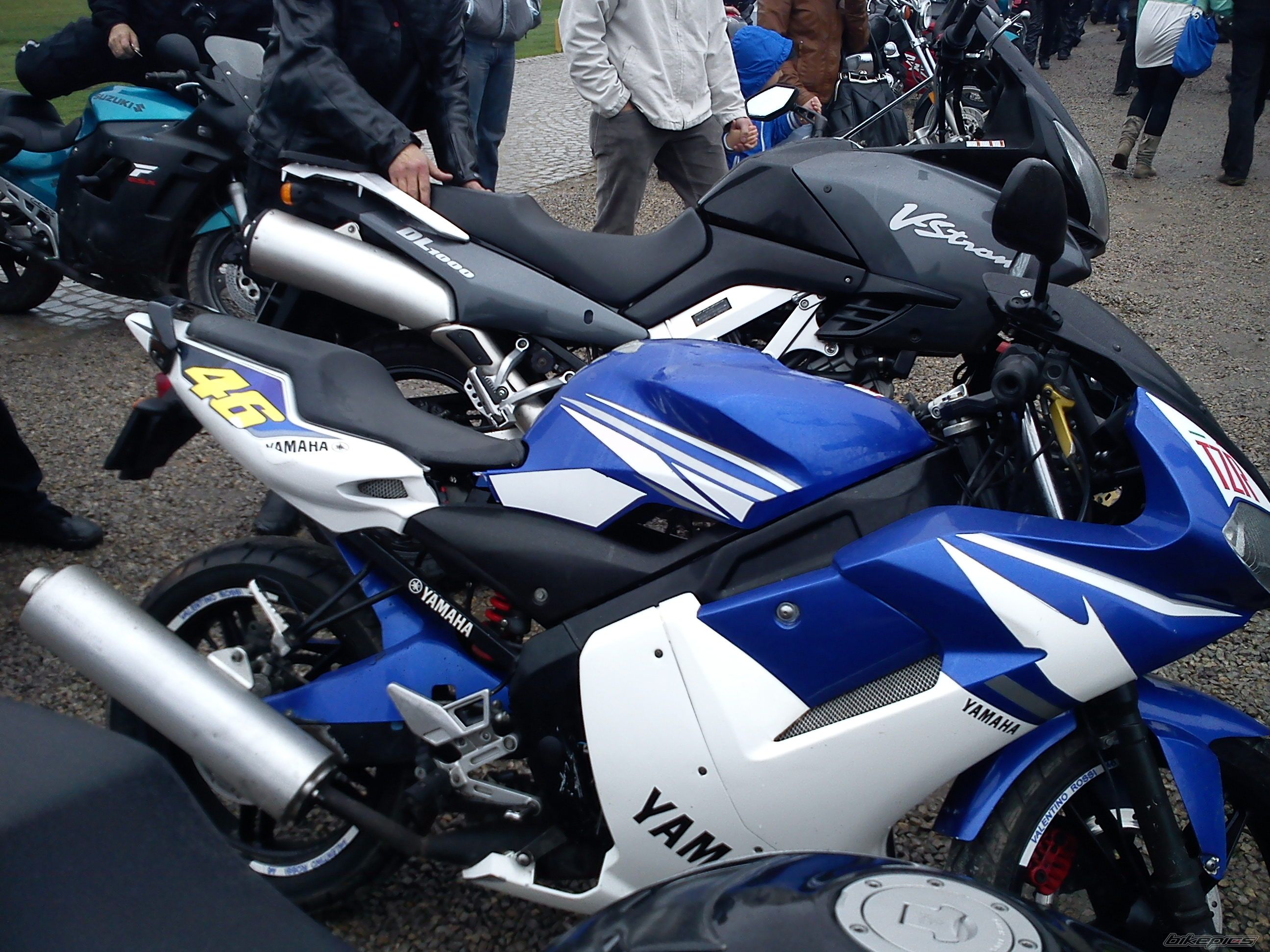 Photo 2384197