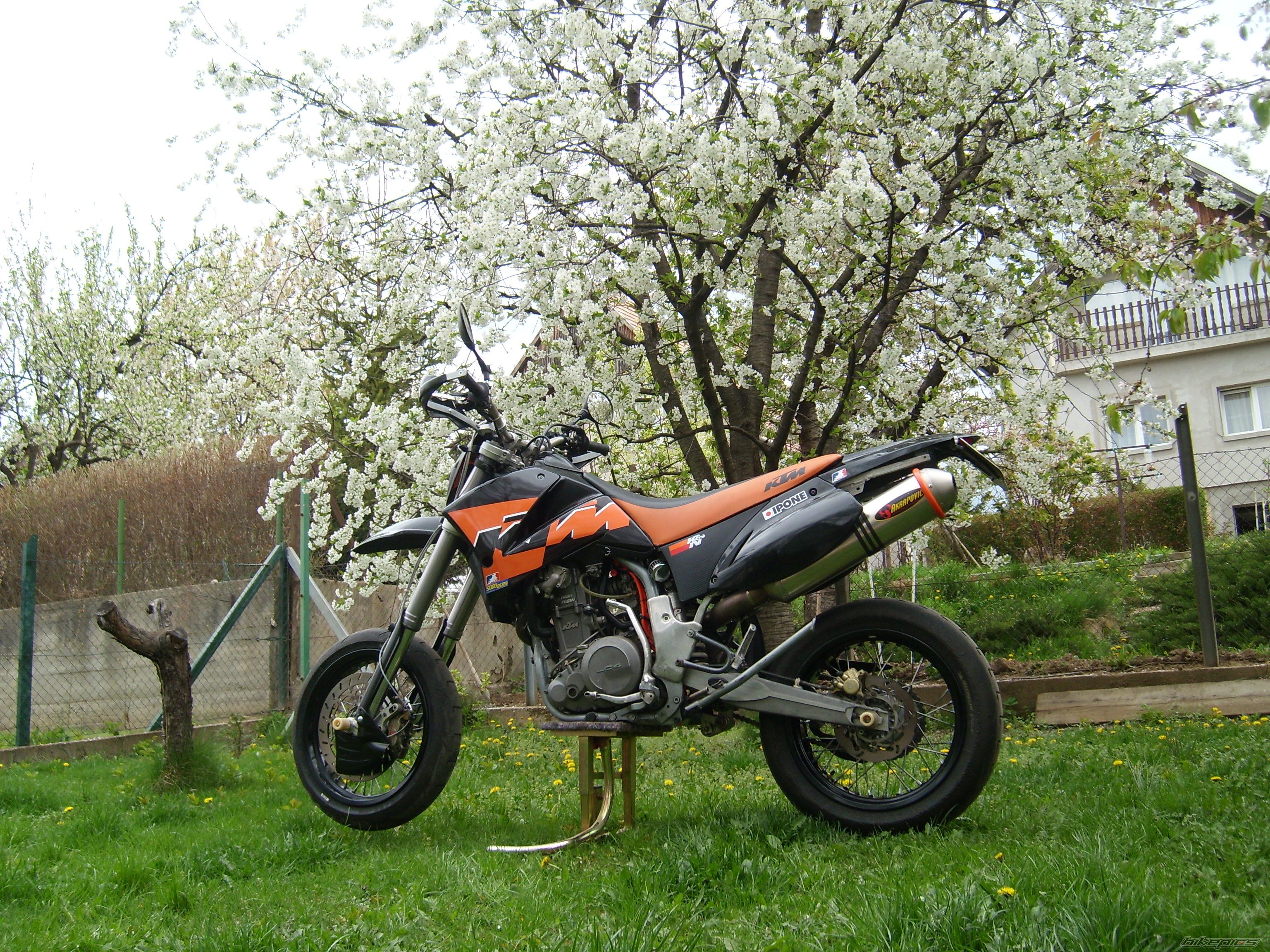 Photo 2384209