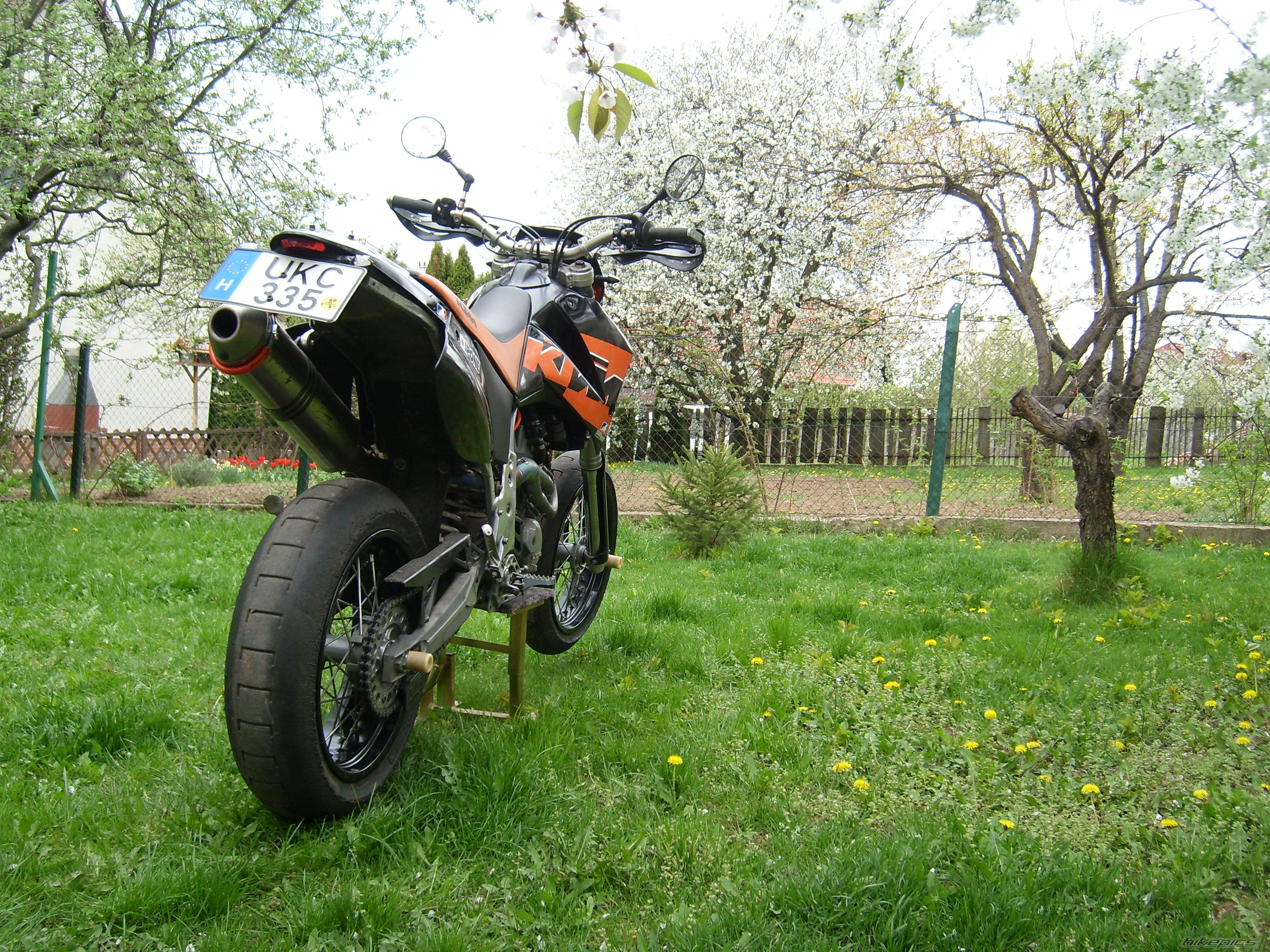 Photo 2384214