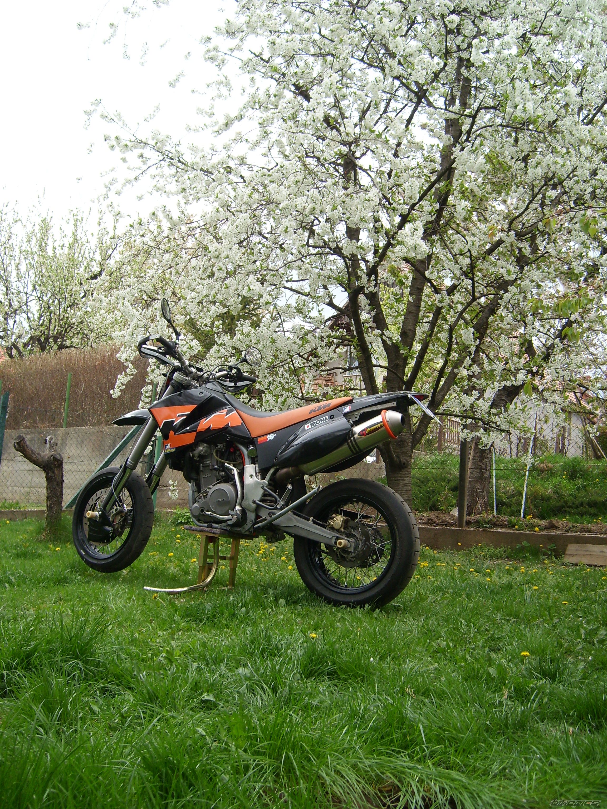 Photo 2384215