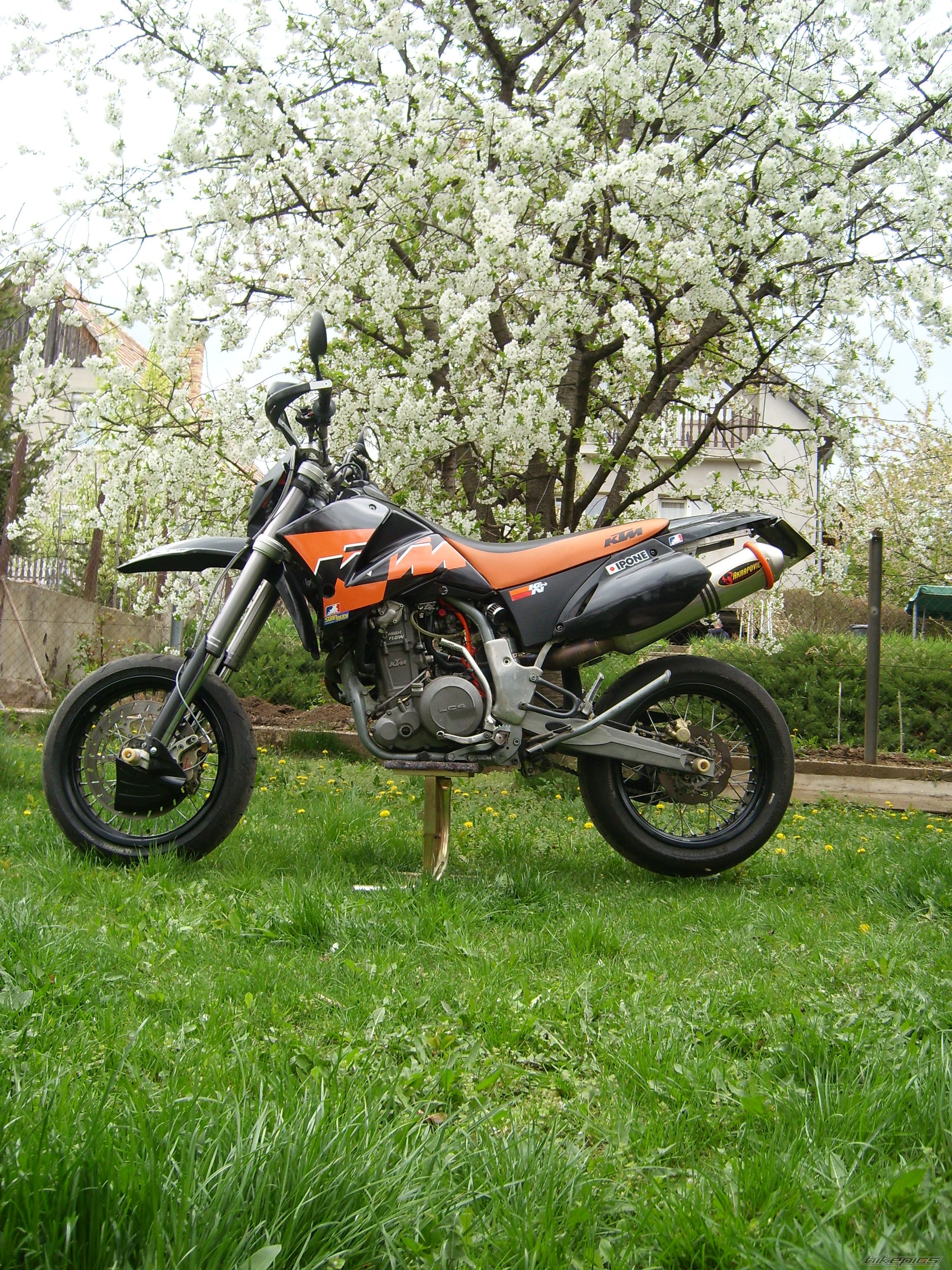 Photo 2384217