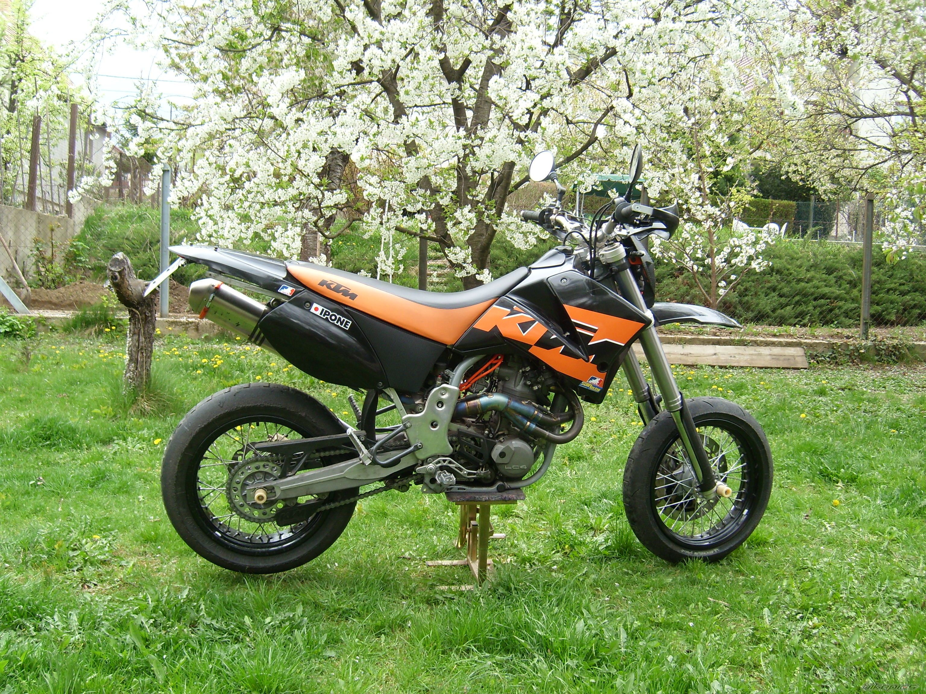 Photo 2384219