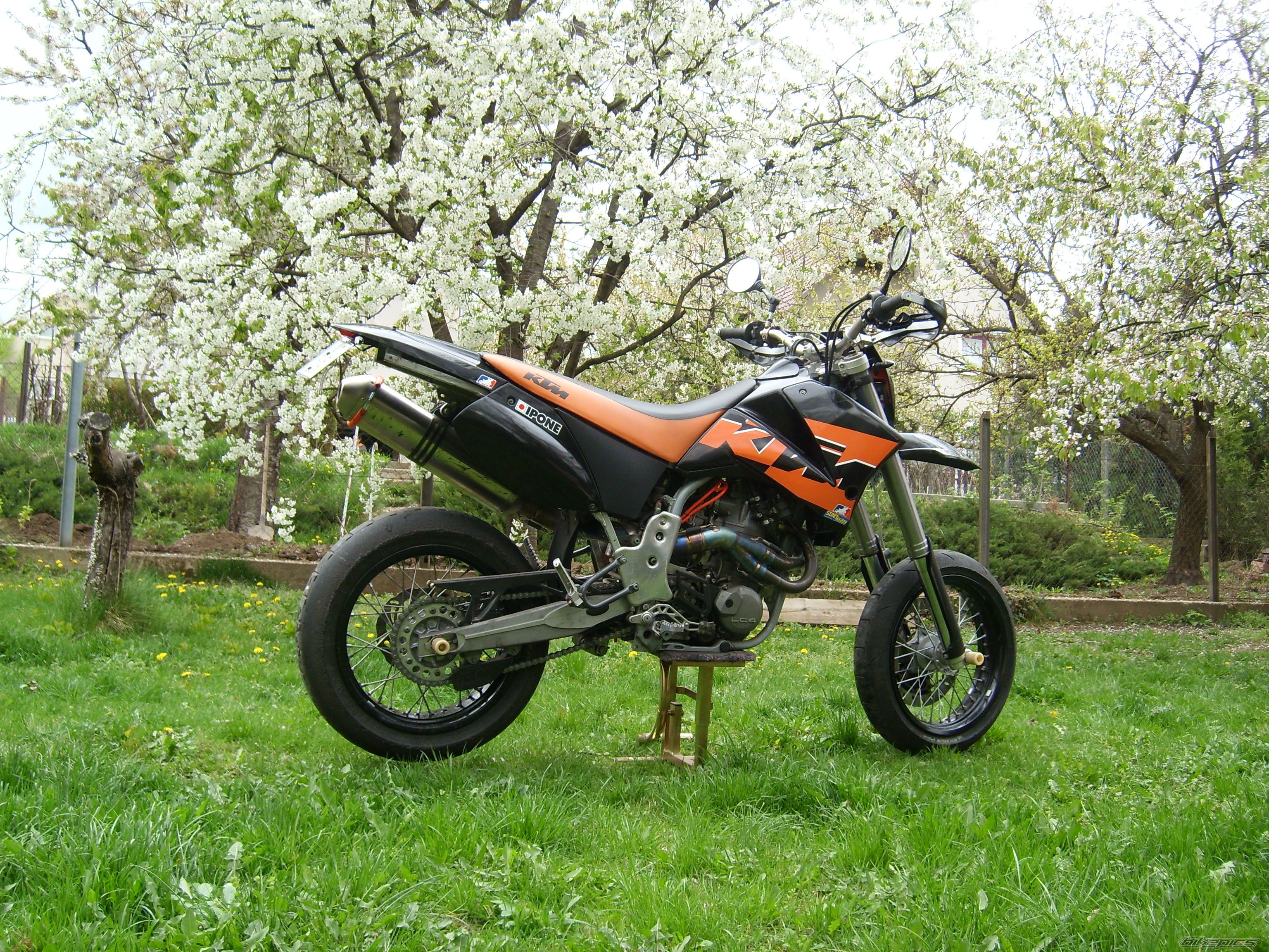 Photo 2384221