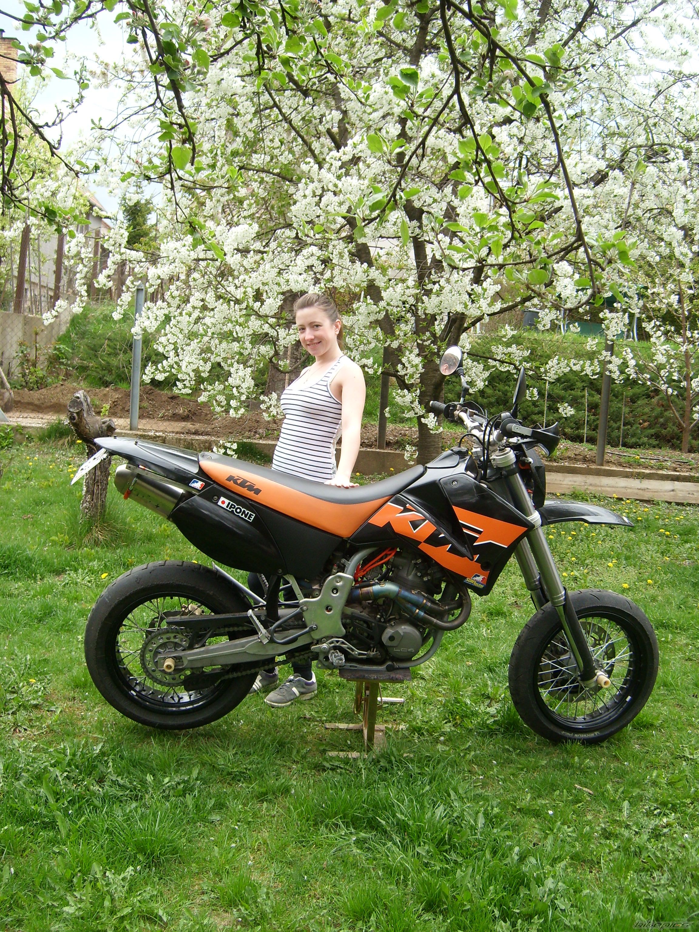 Photo 2384225