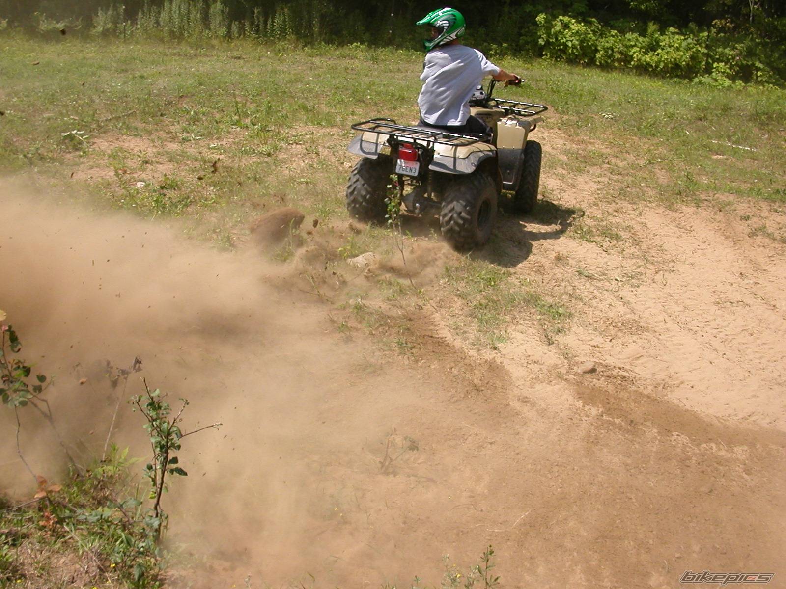 Photo 238428