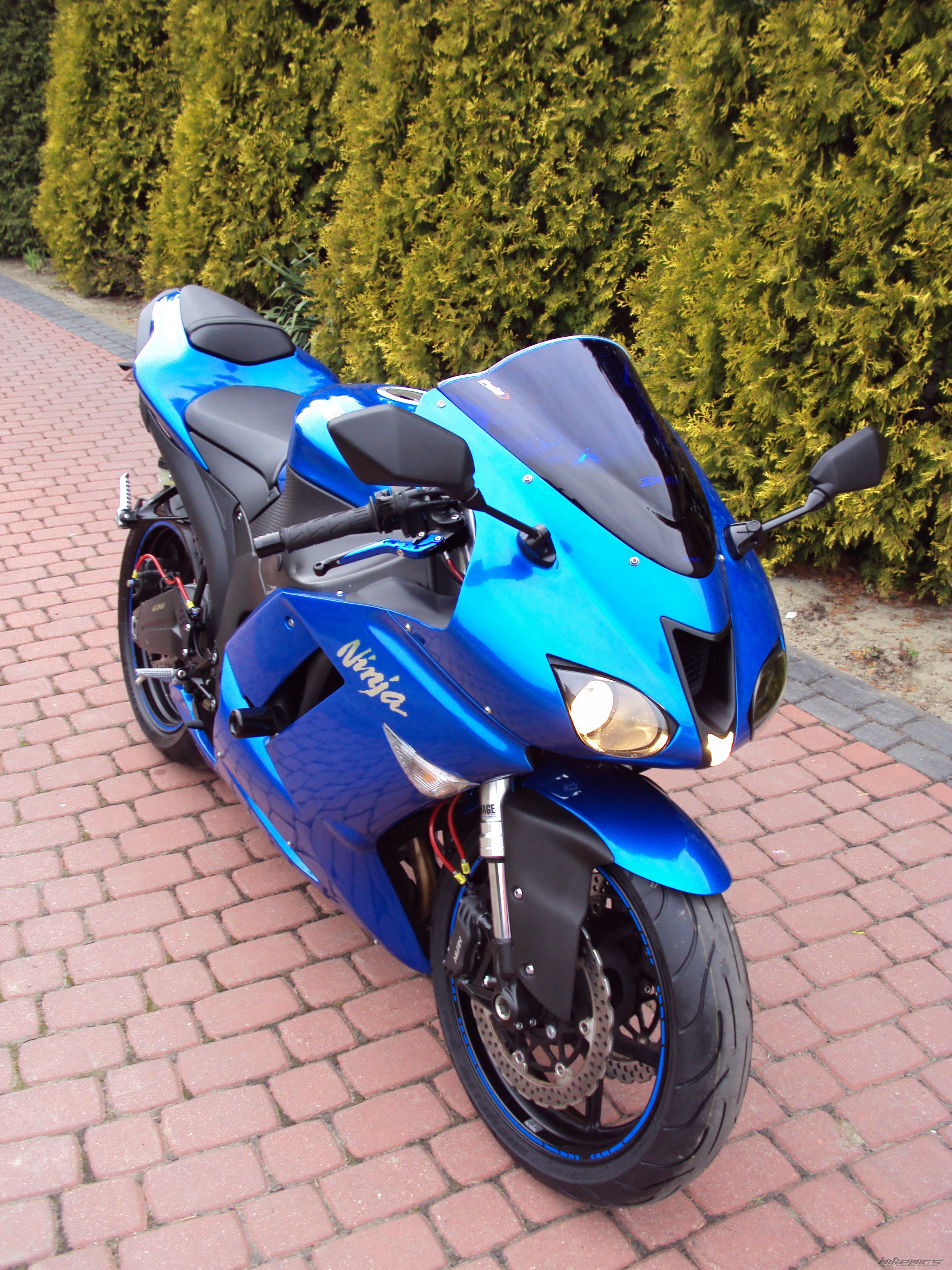 Photo 2384284