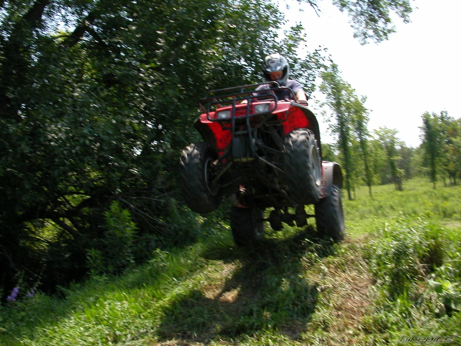 Photo 238430