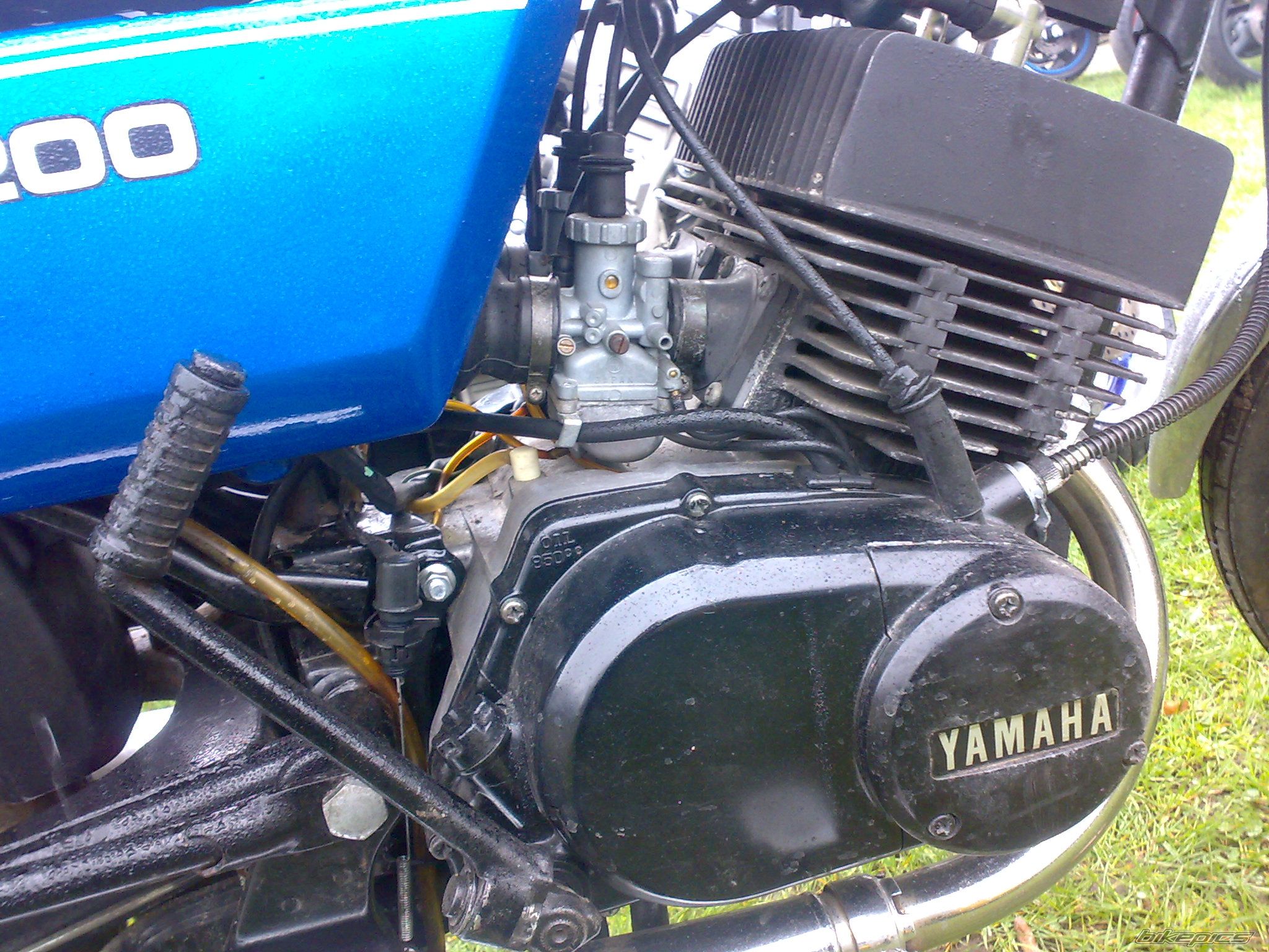Bike Photo 2384332