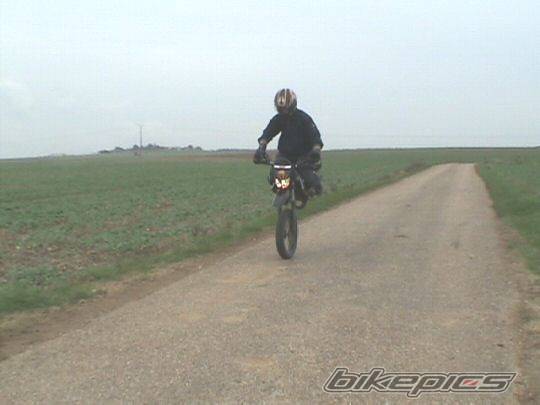 Photo 238439