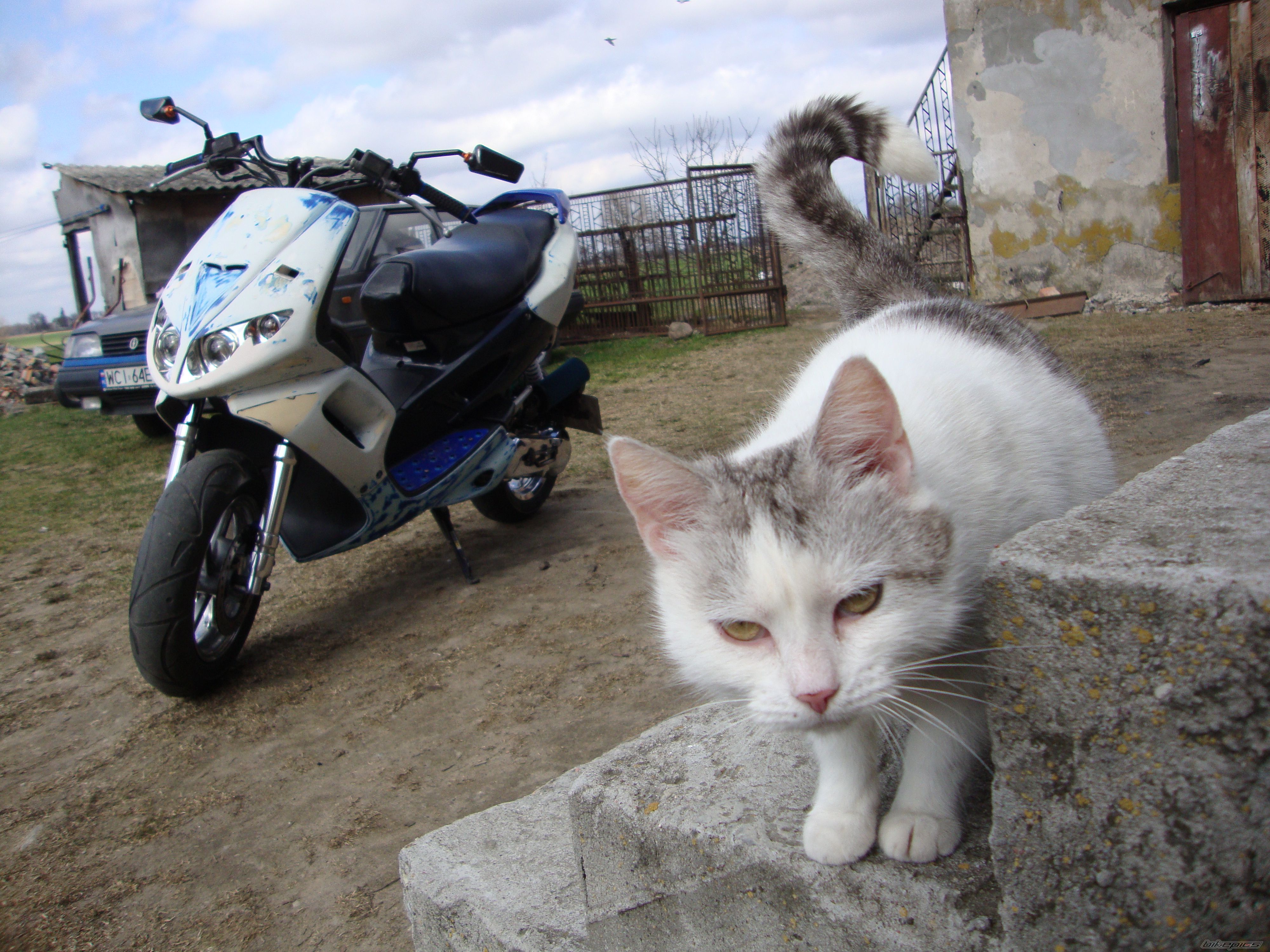 Photo 2384402