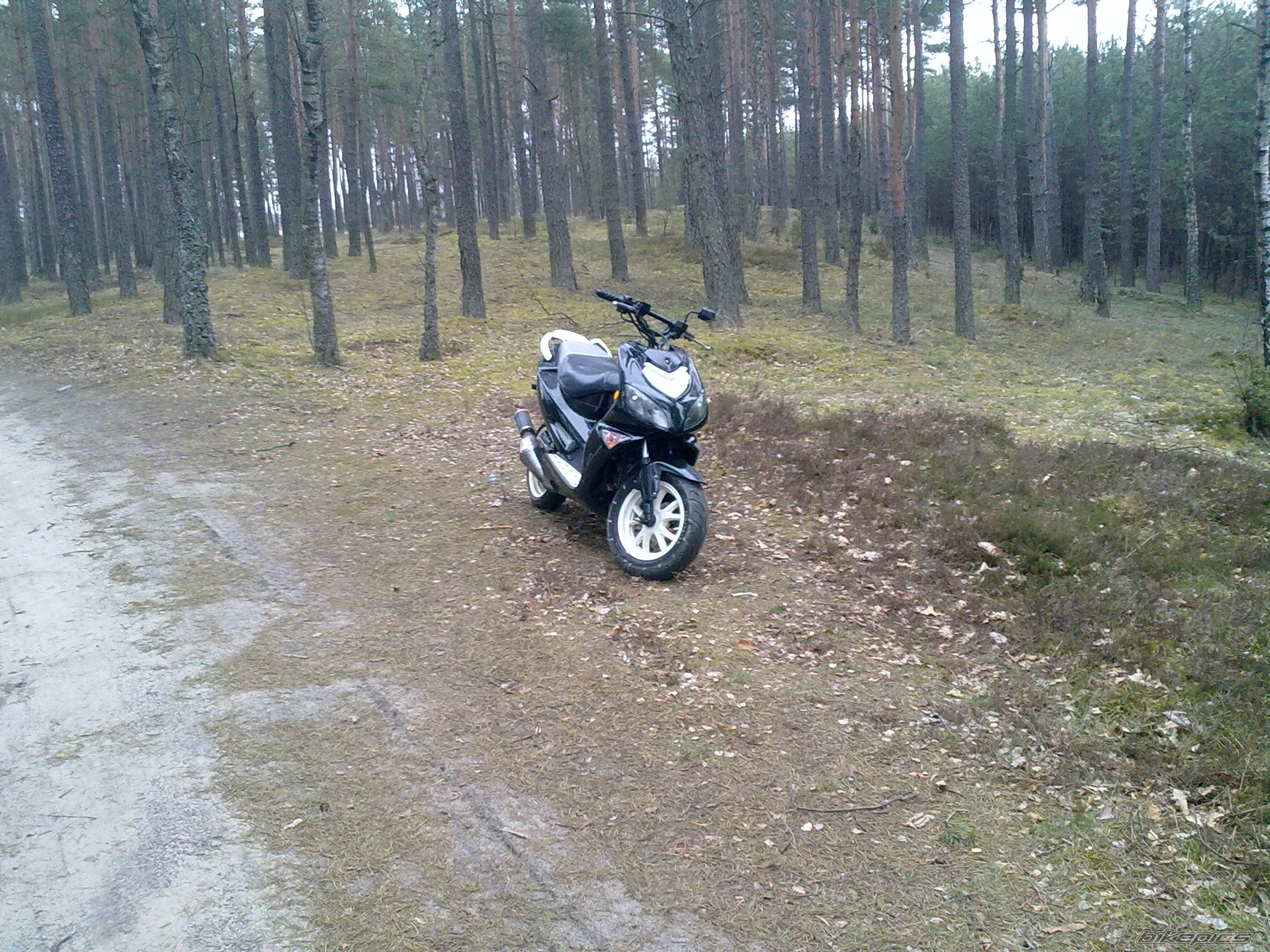 Photo 2384418
