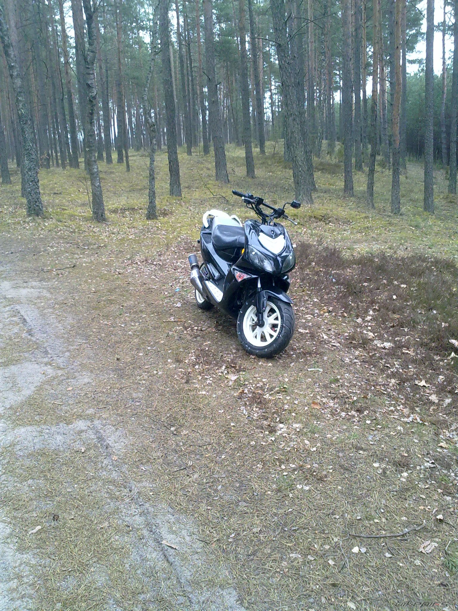 Photo 2384426