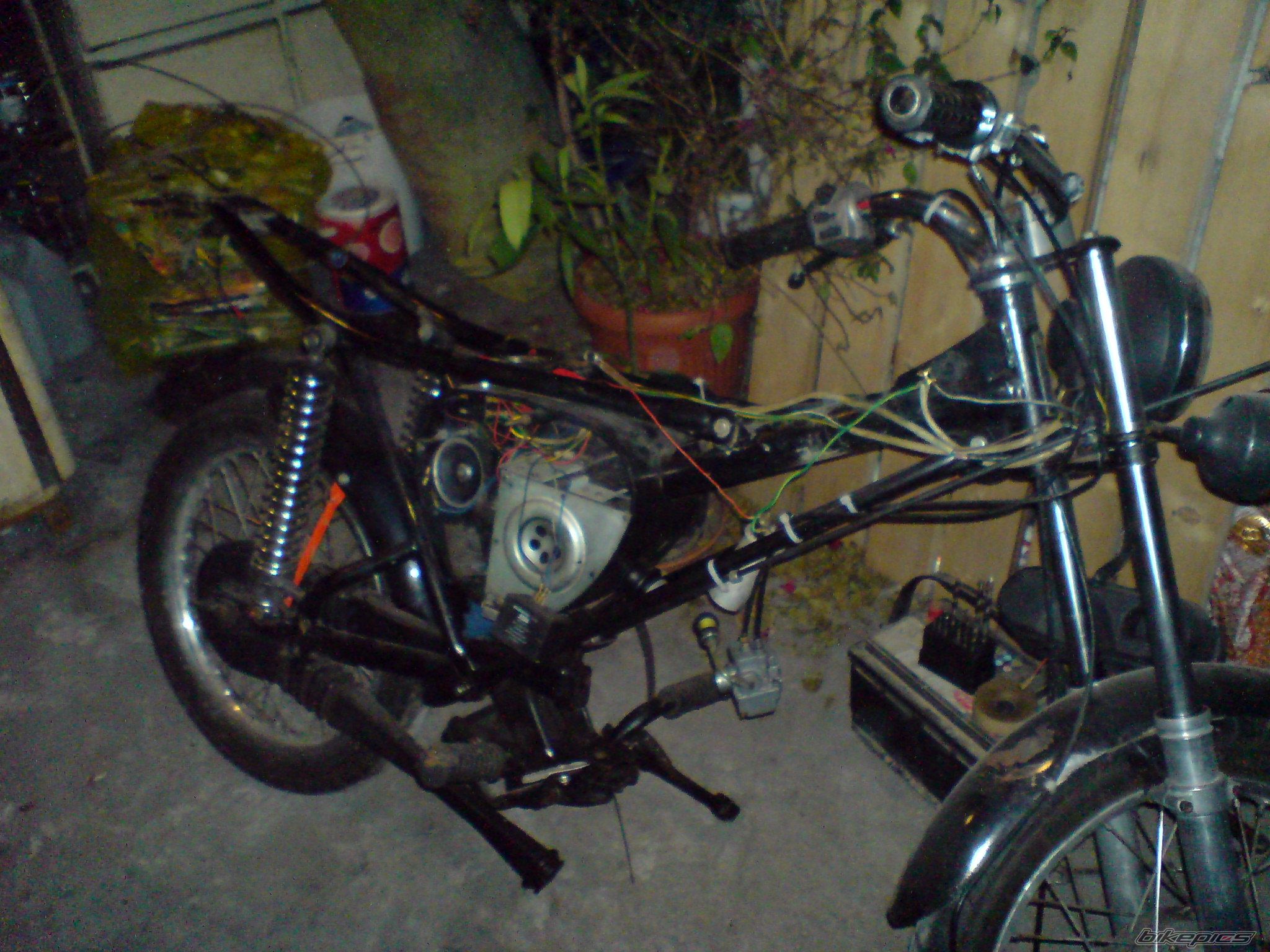 Photo 2384453