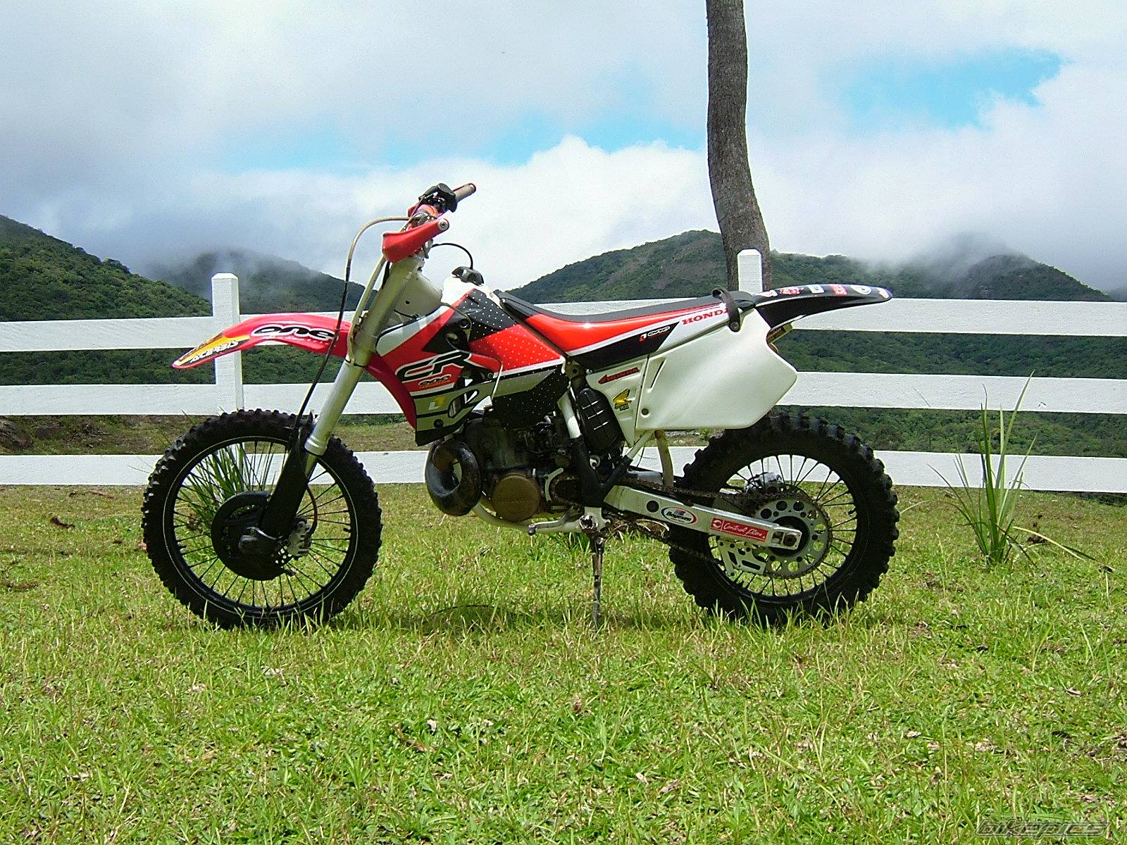 Bike Photo 238447