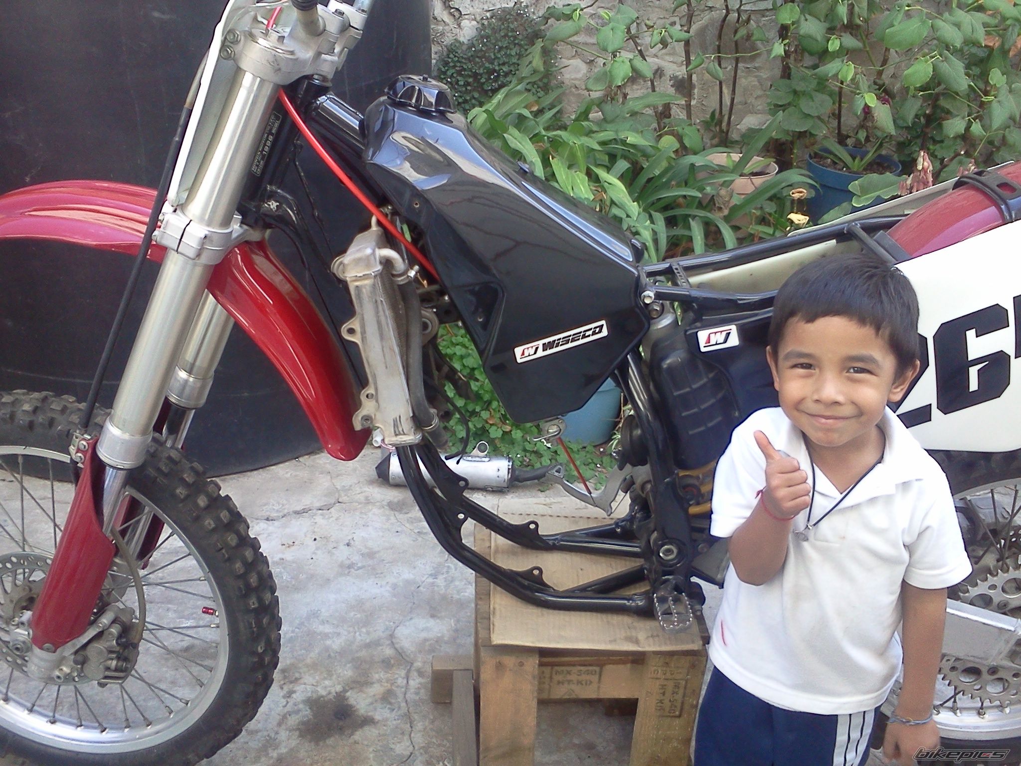 Photo 2384661