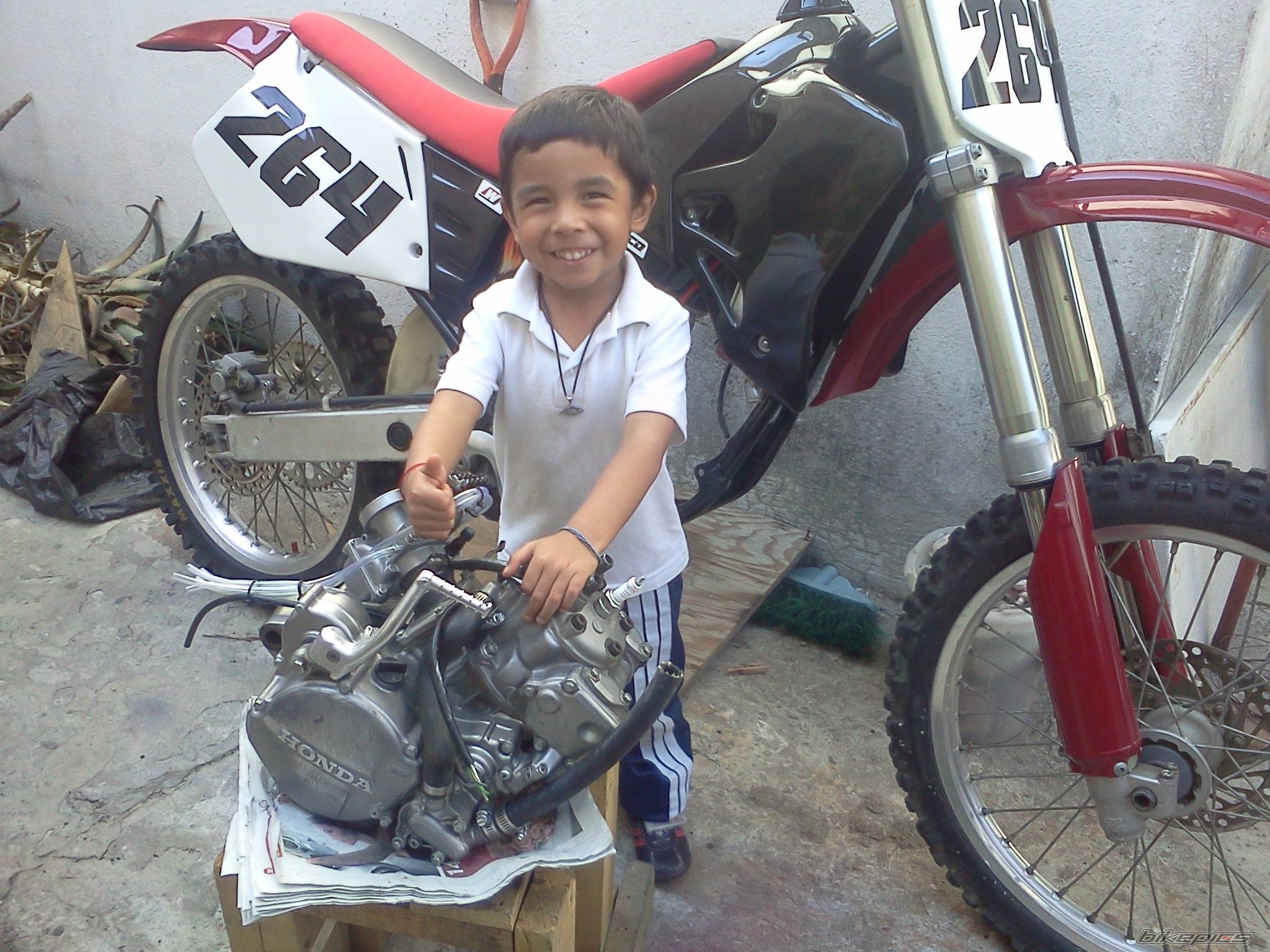 Photo 2384662
