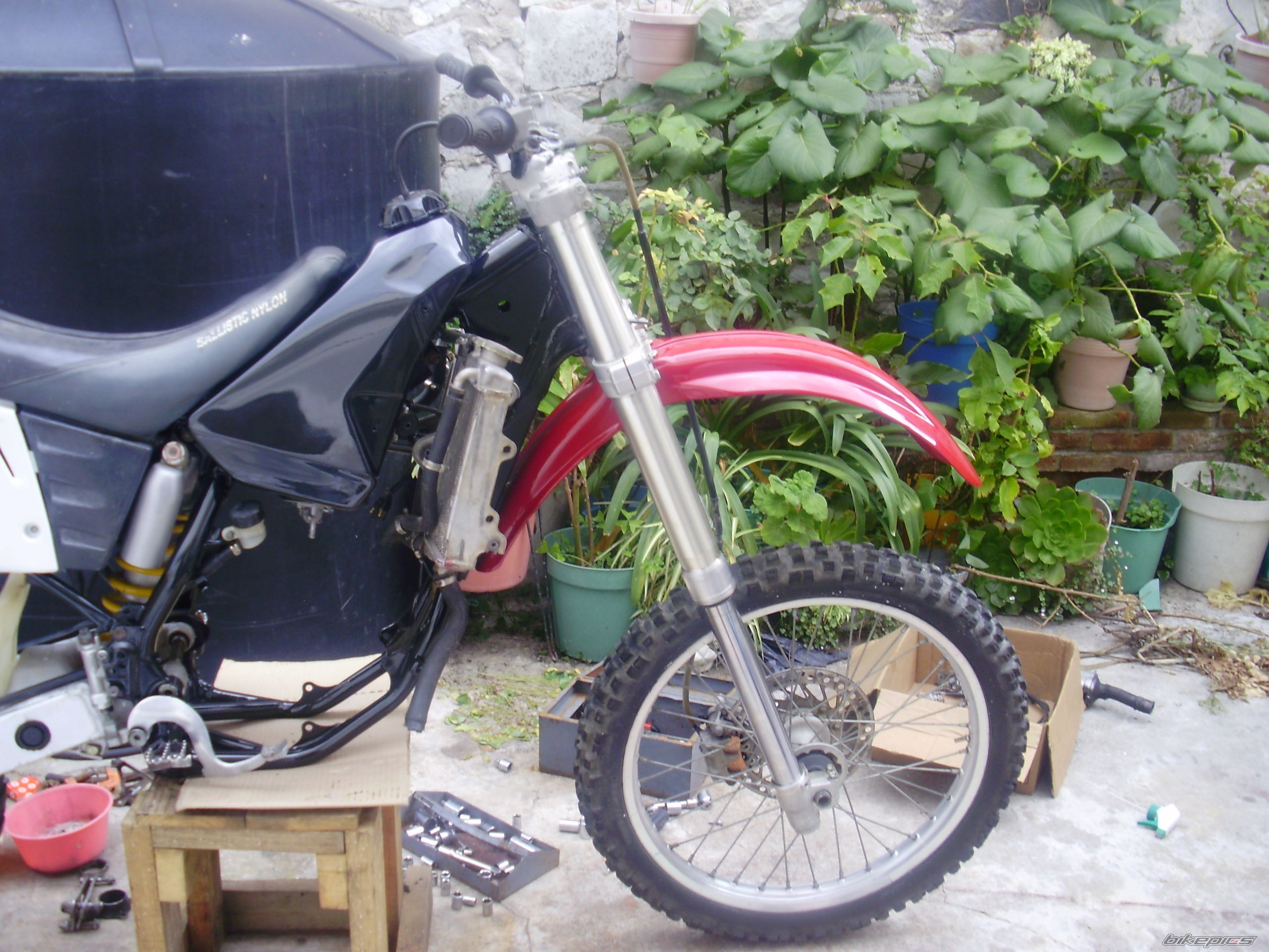 Photo 2384668