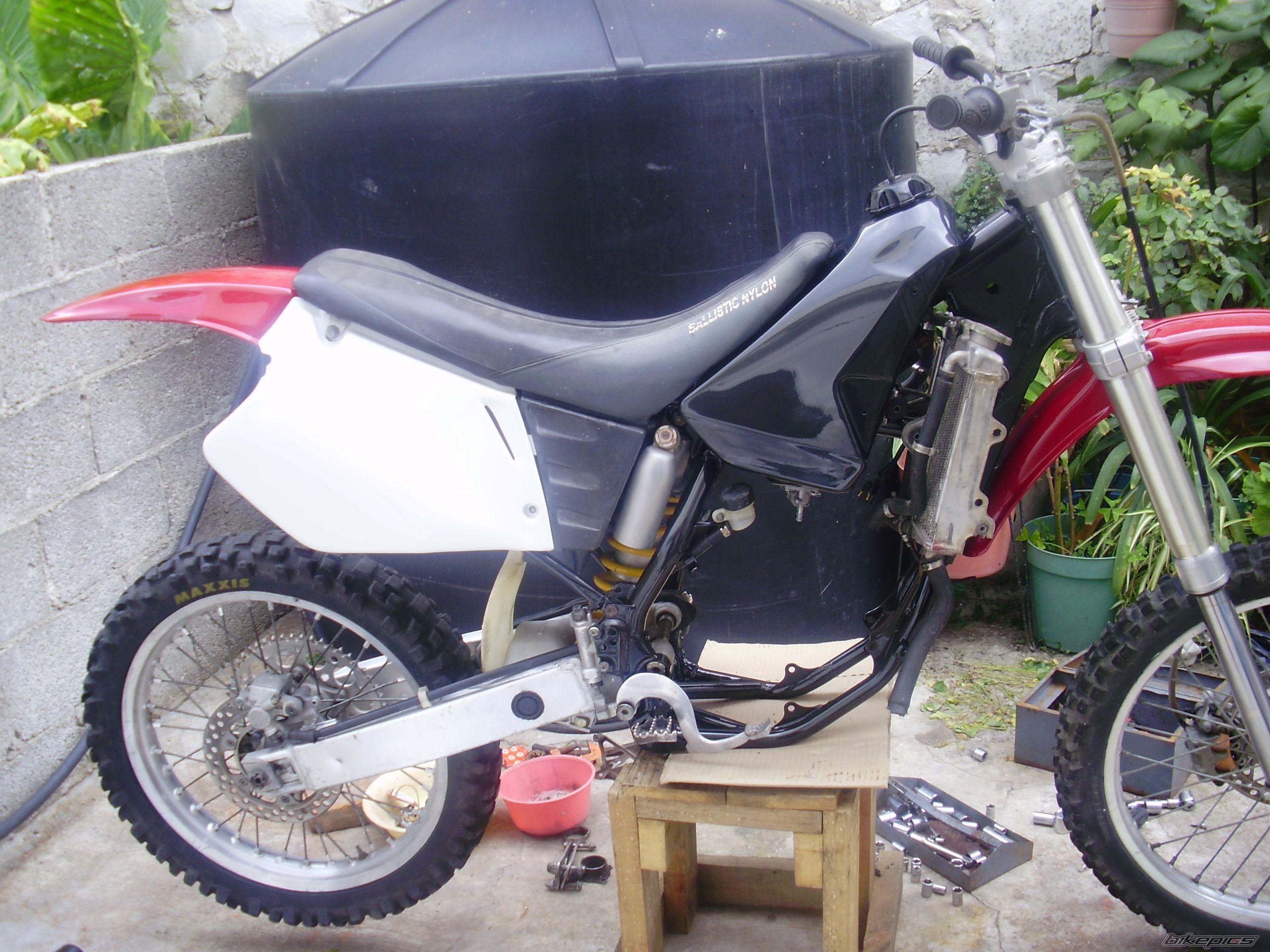 Photo 2384669