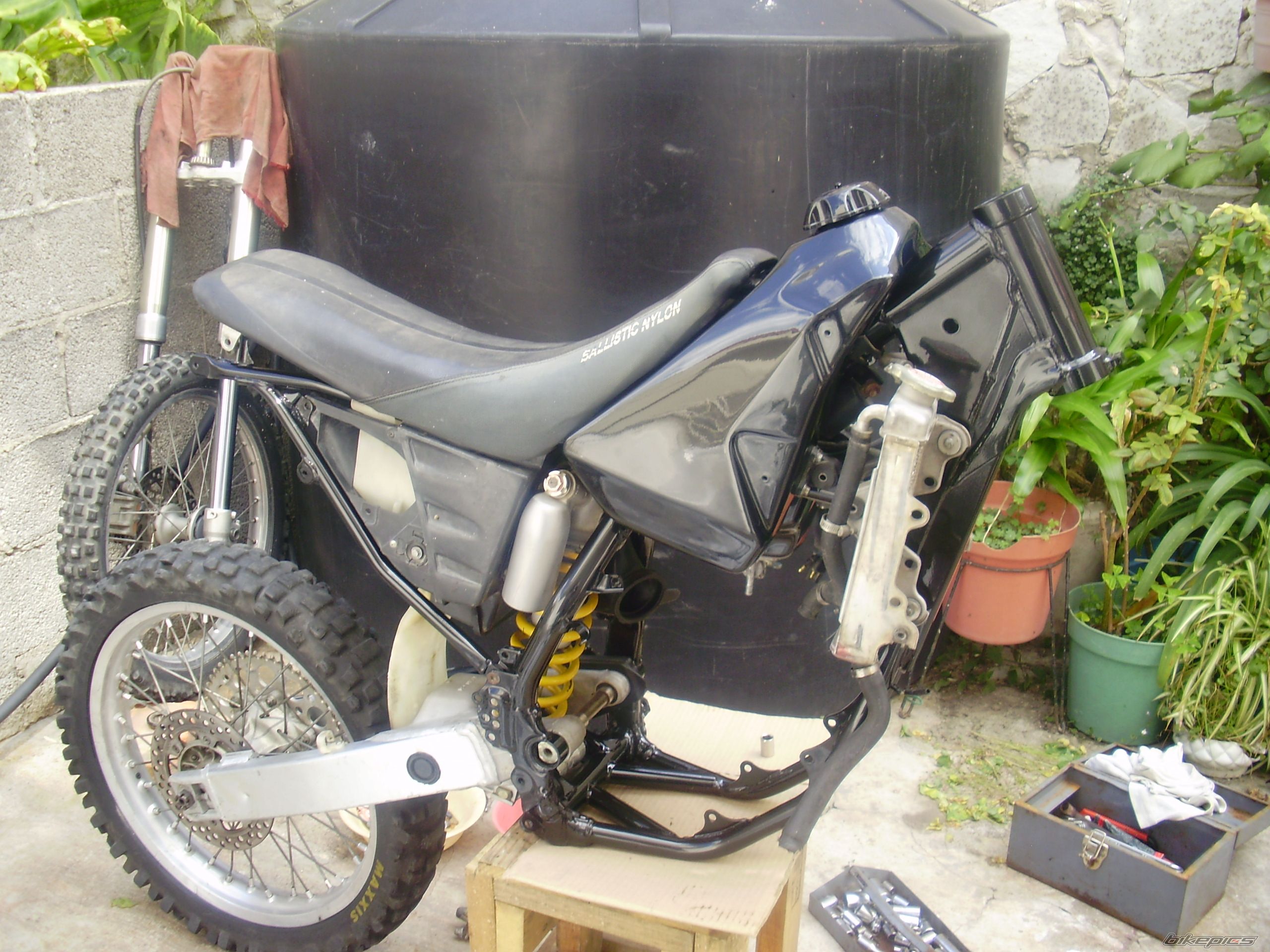 Photo 2384672