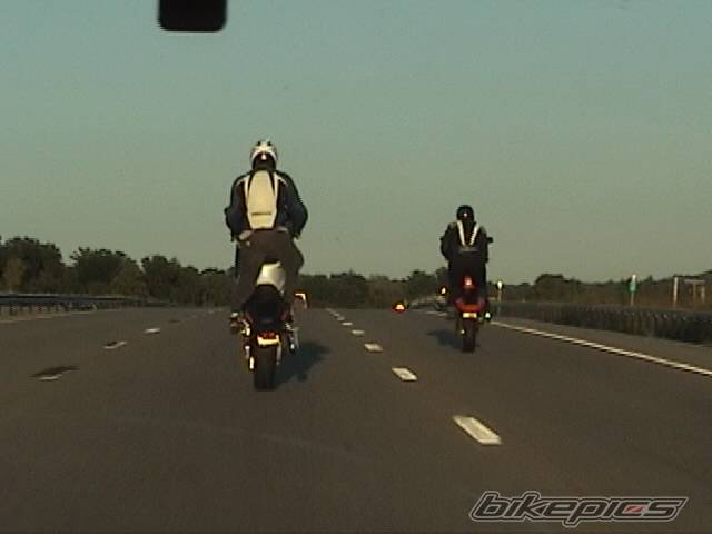 Photo 238468