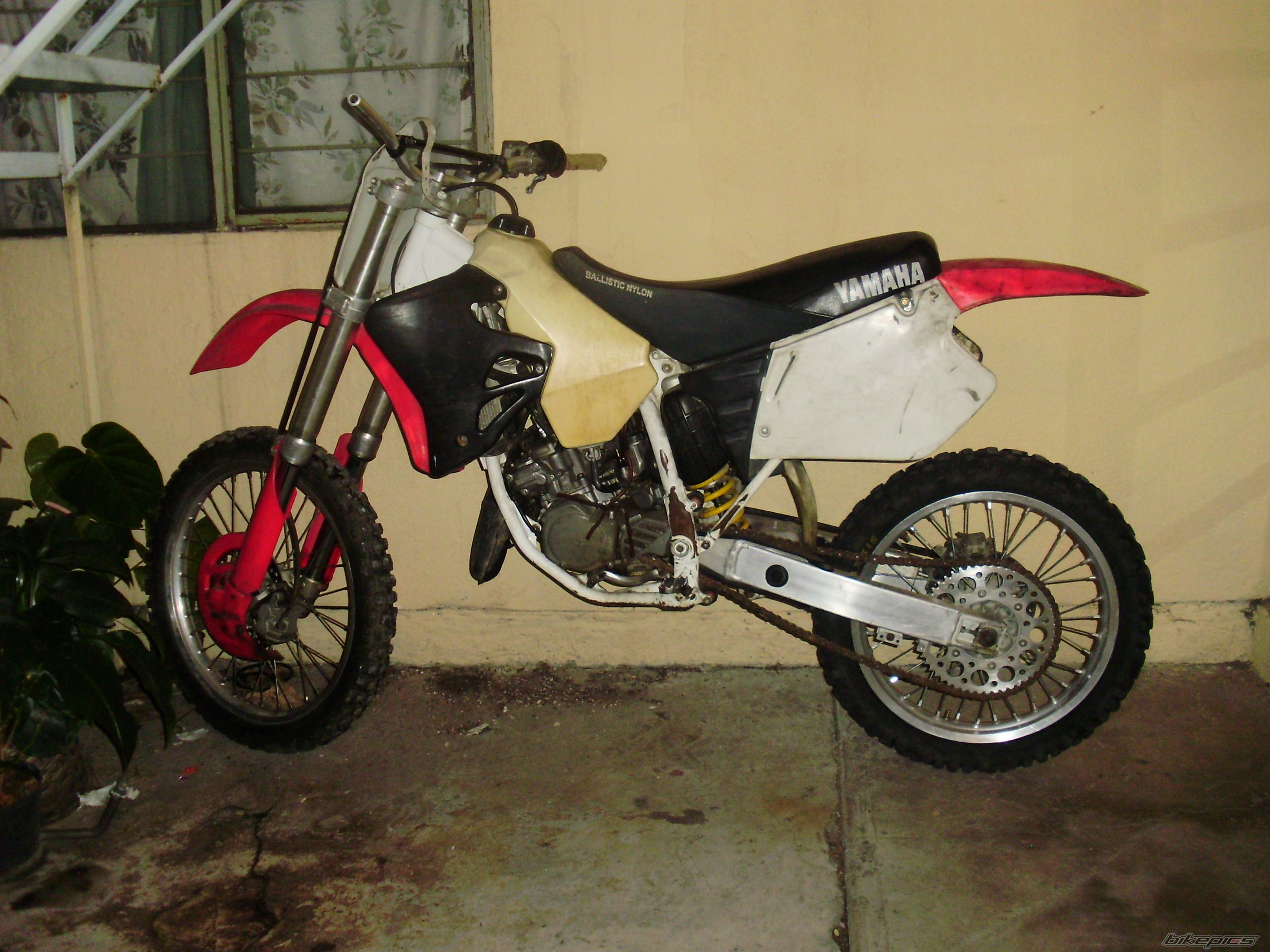 Bike Photo 2384686
