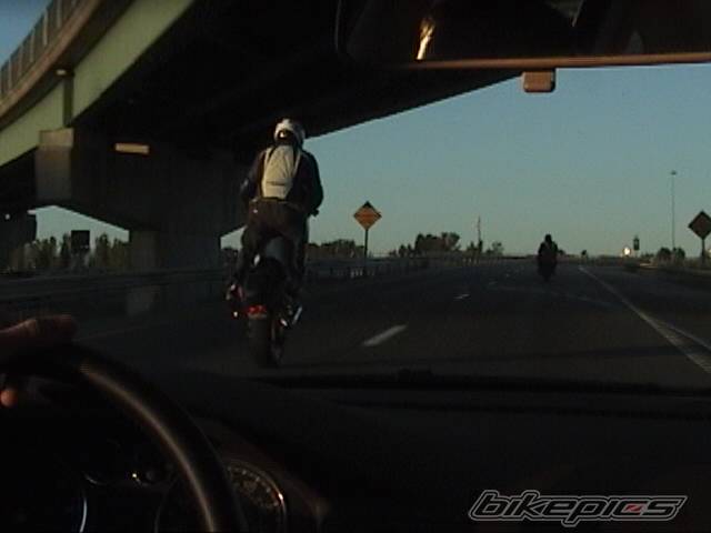 Photo 238471