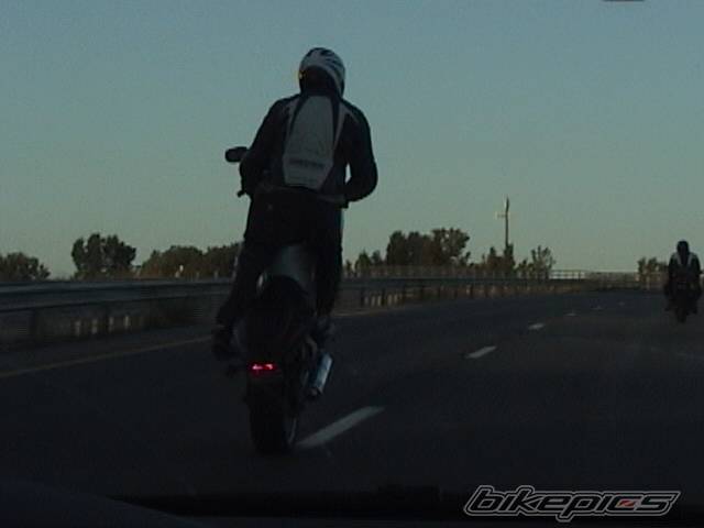 Photo 238472