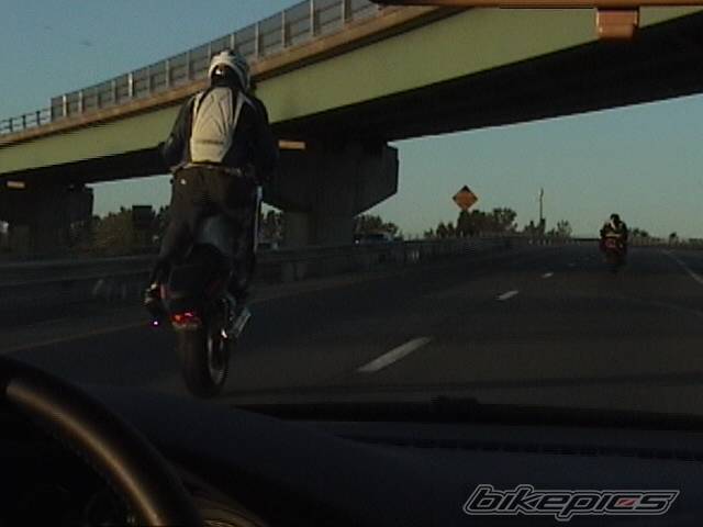 Photo 238473