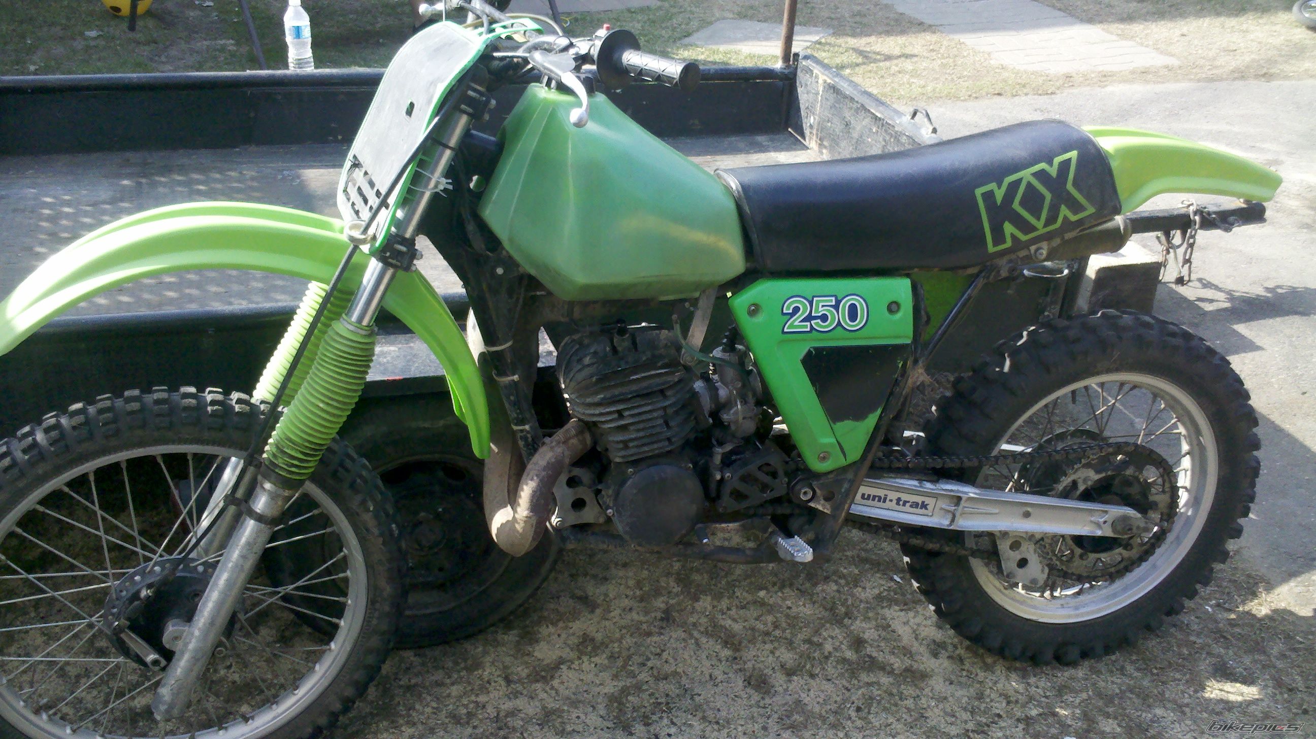 Photo 2384740