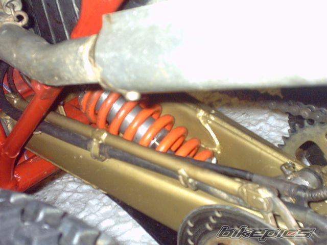 Photo 2384757